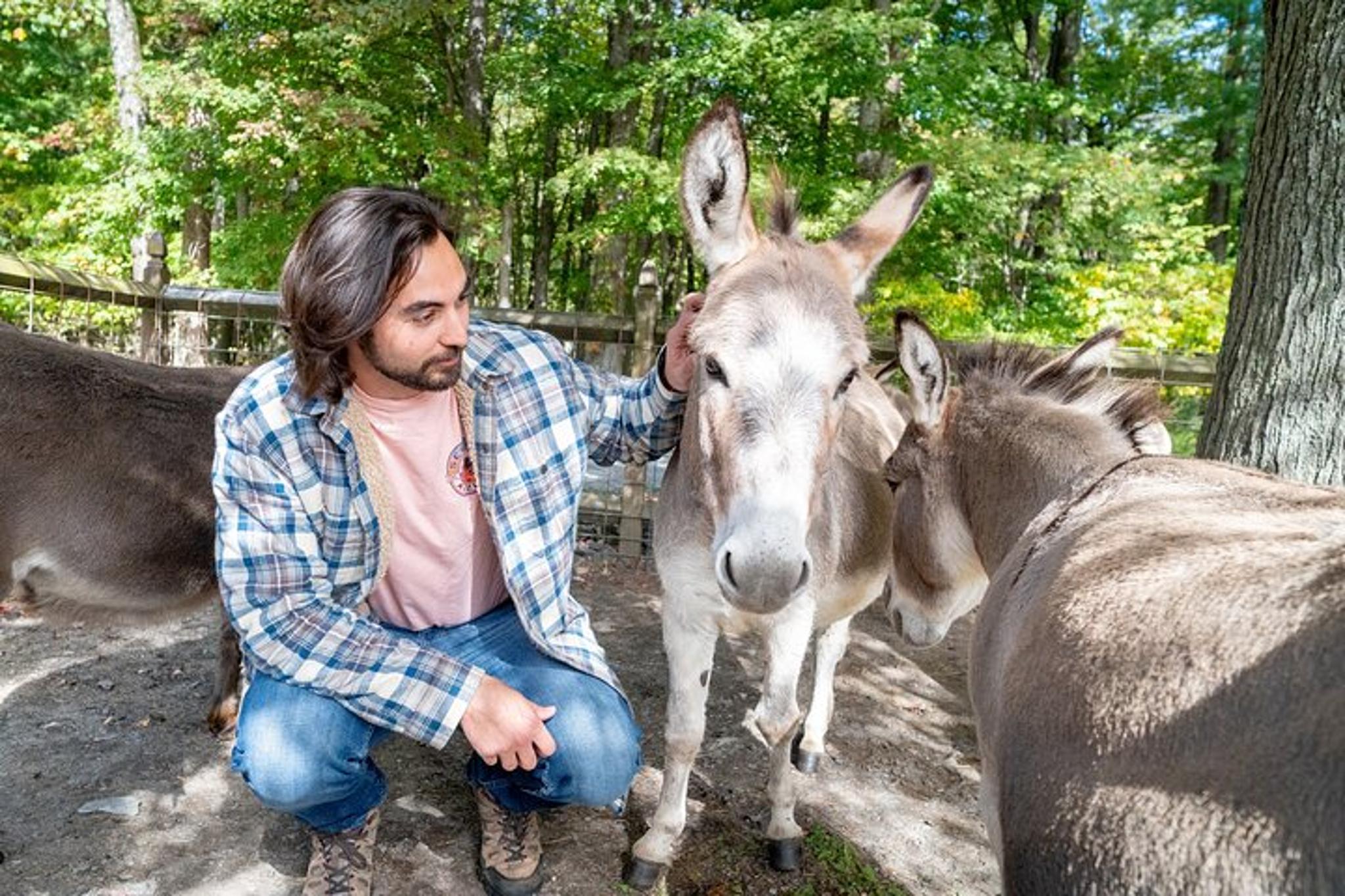 Catskills Farm Tour with Rescue Animals - Image 6