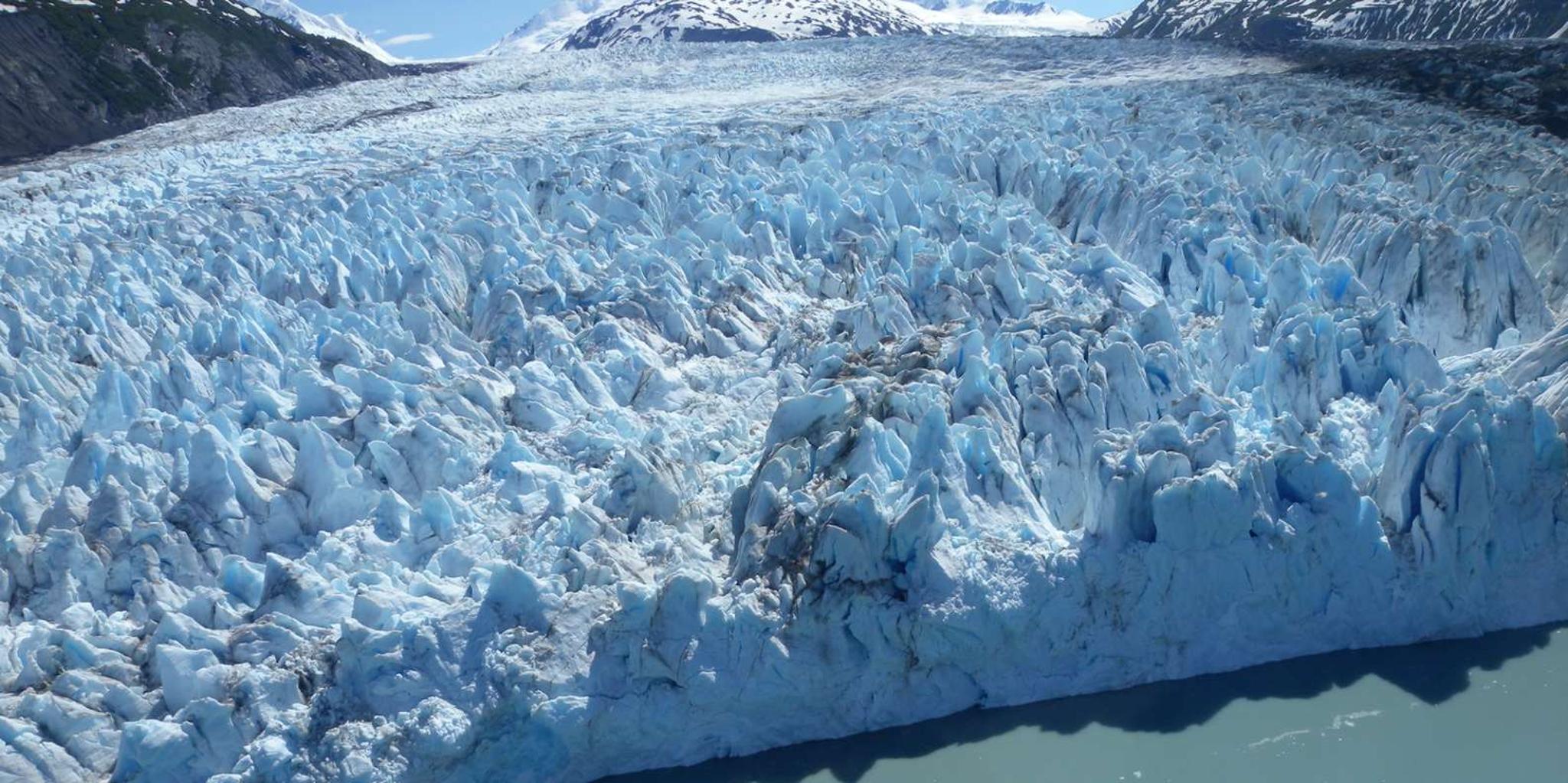 Anchorage Glacier and Wildlife Discovery Tour