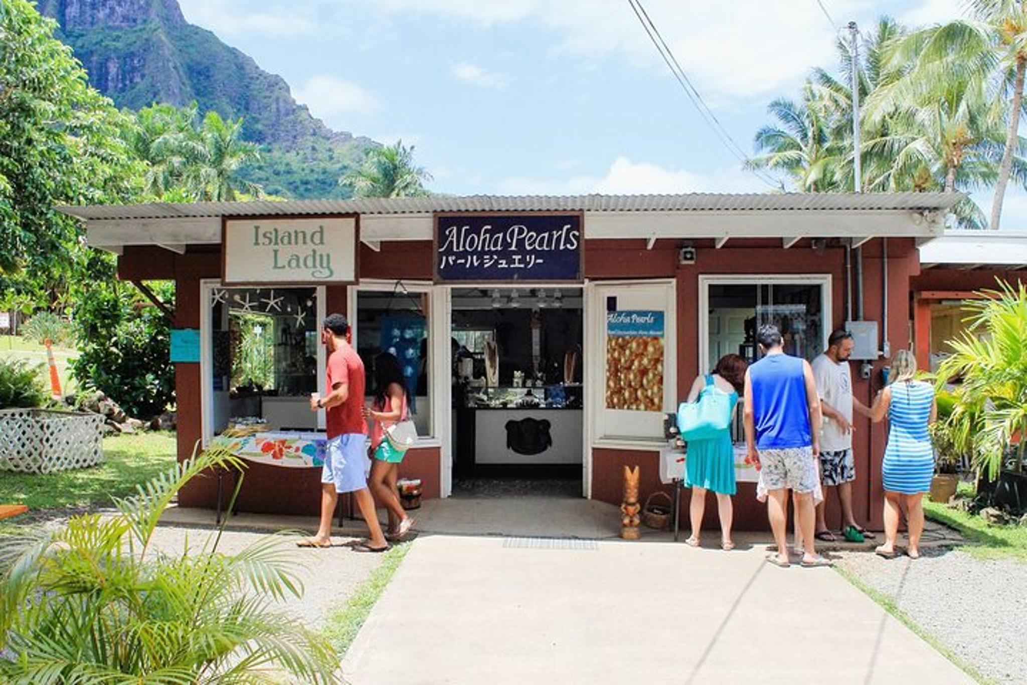 Oahu Nature and Turtle Private Tour 6 hr - Image 2