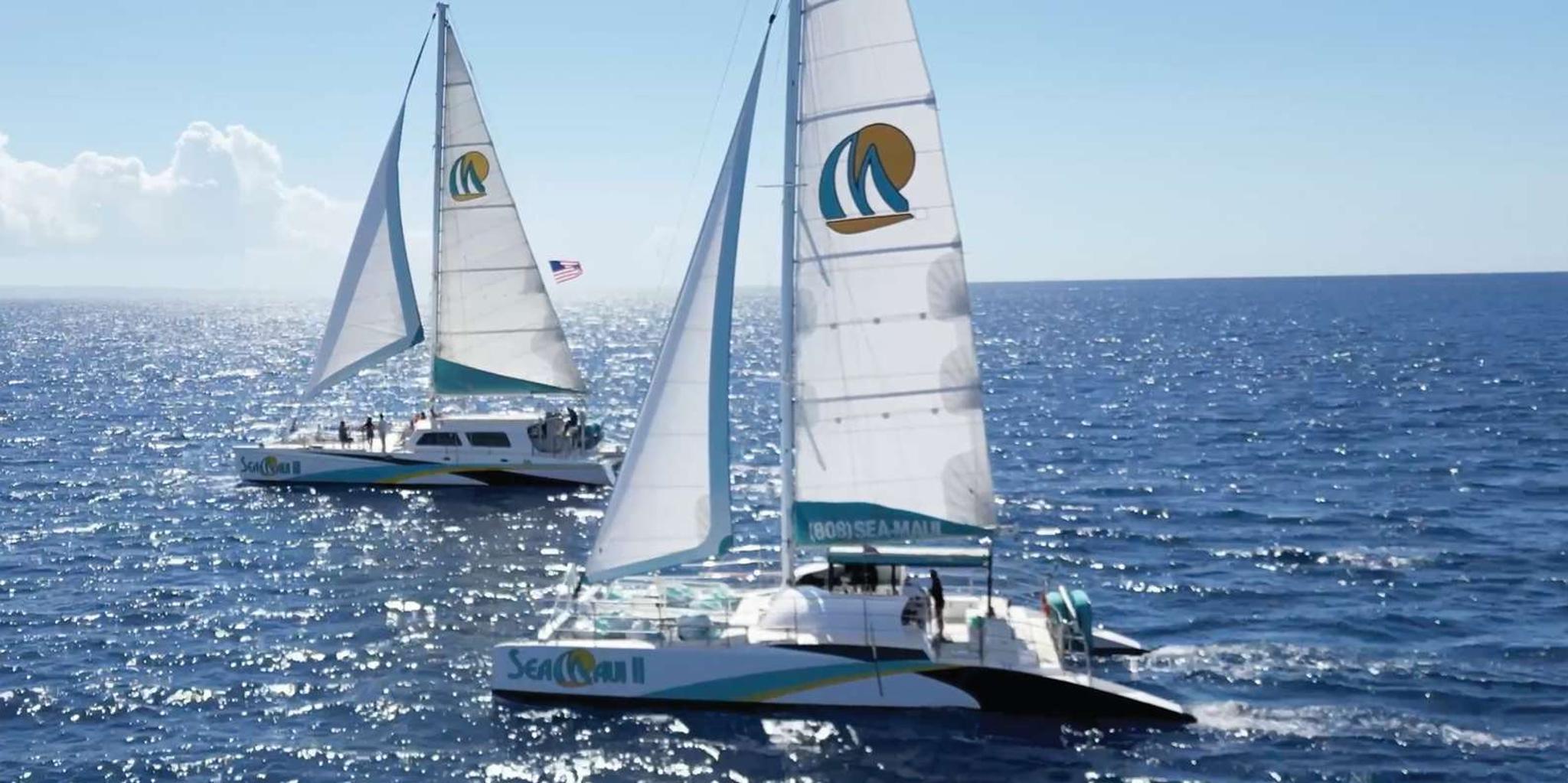 Ka'anapali Whale Watching Cruise with Open Bar - Image 2