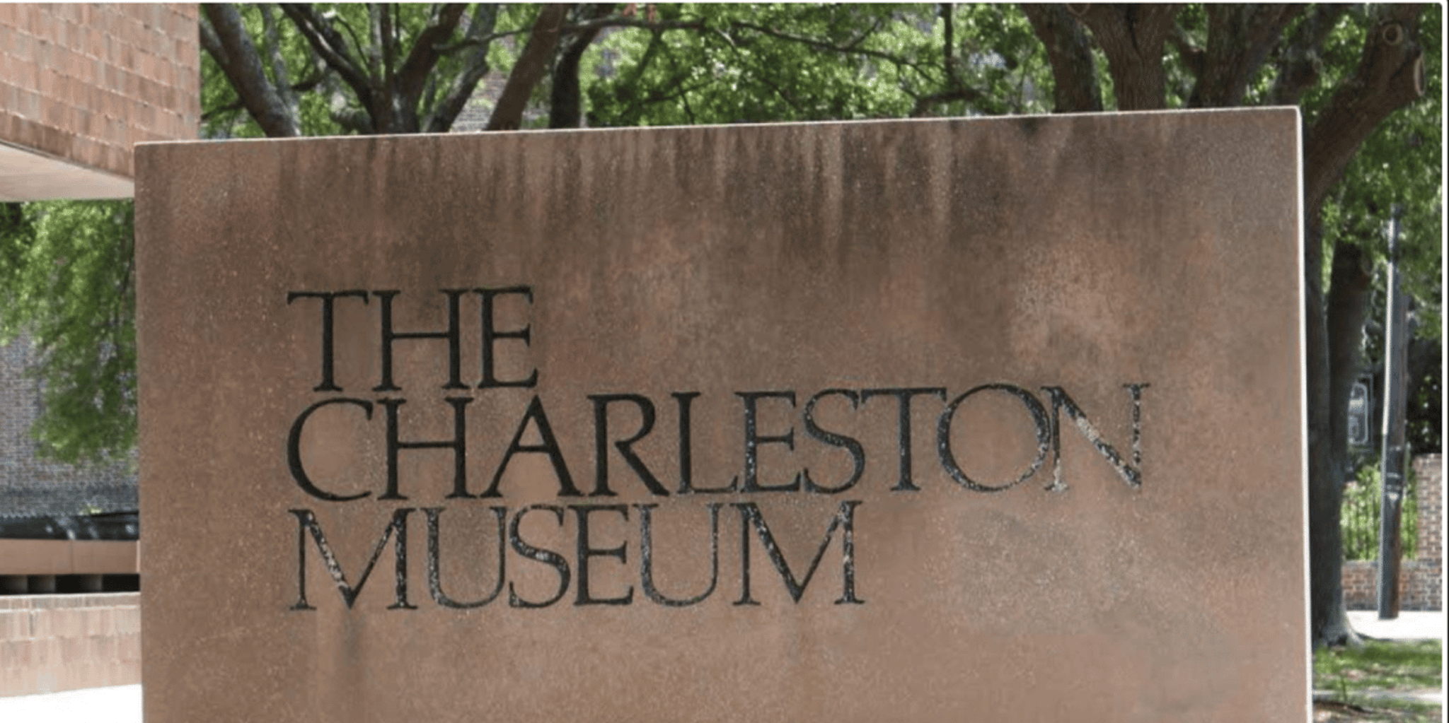 Charleston City Tour with Museum Entry