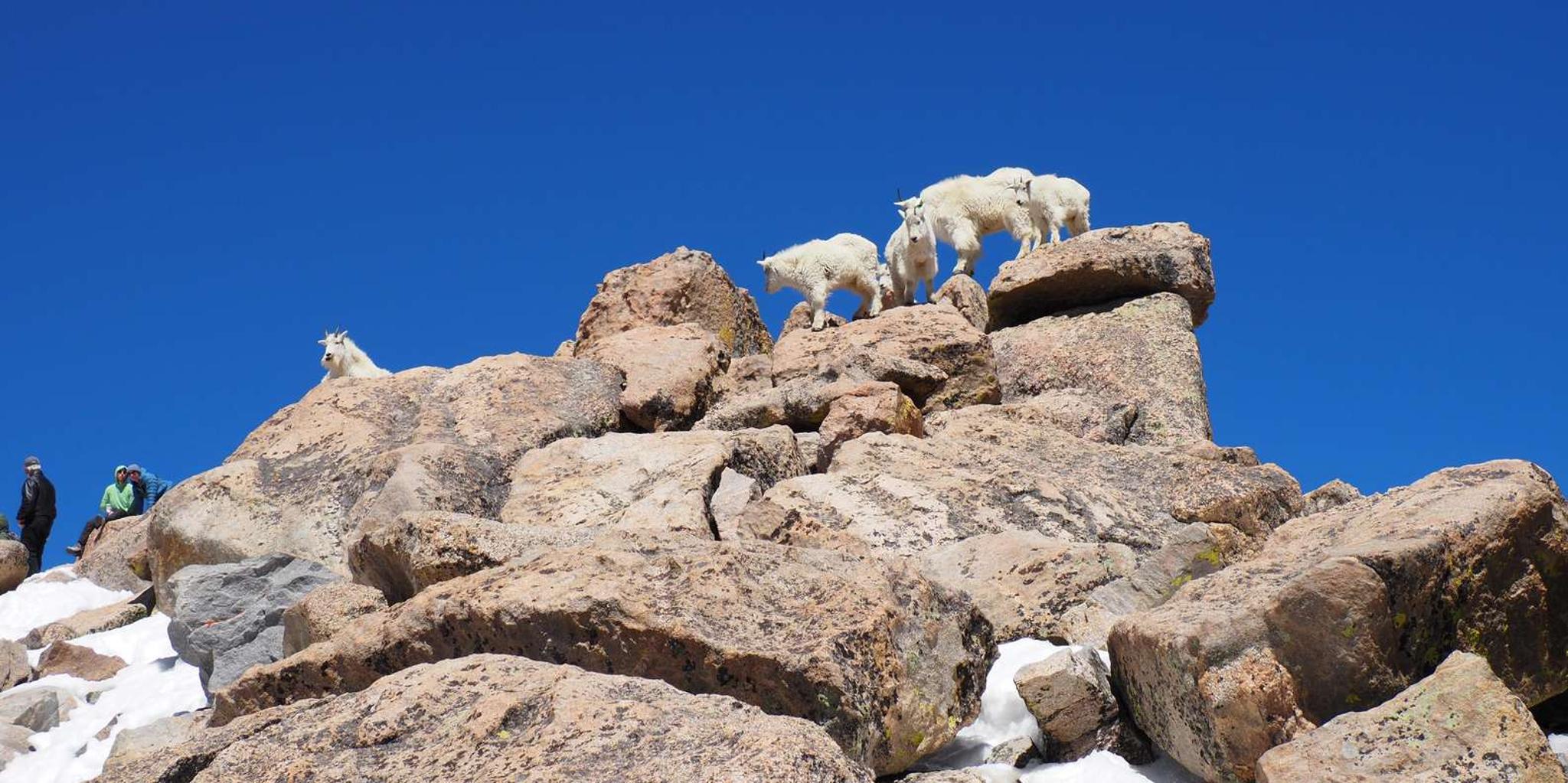 Denver Mount Blue Sky Summit and Glacial Lake Tour - Image 4