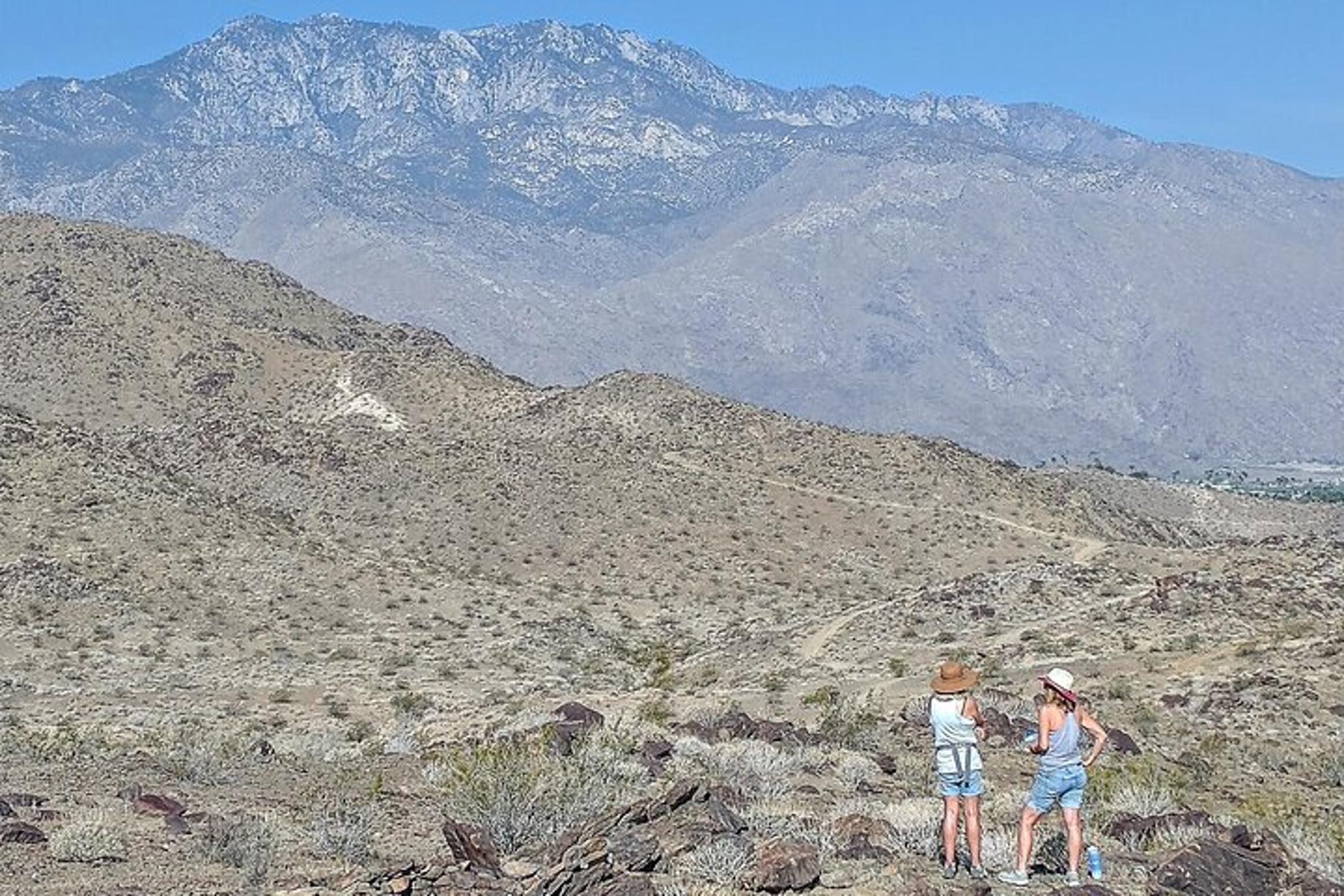 Palm Springs Oasis Hike and Desert Views - Image 2
