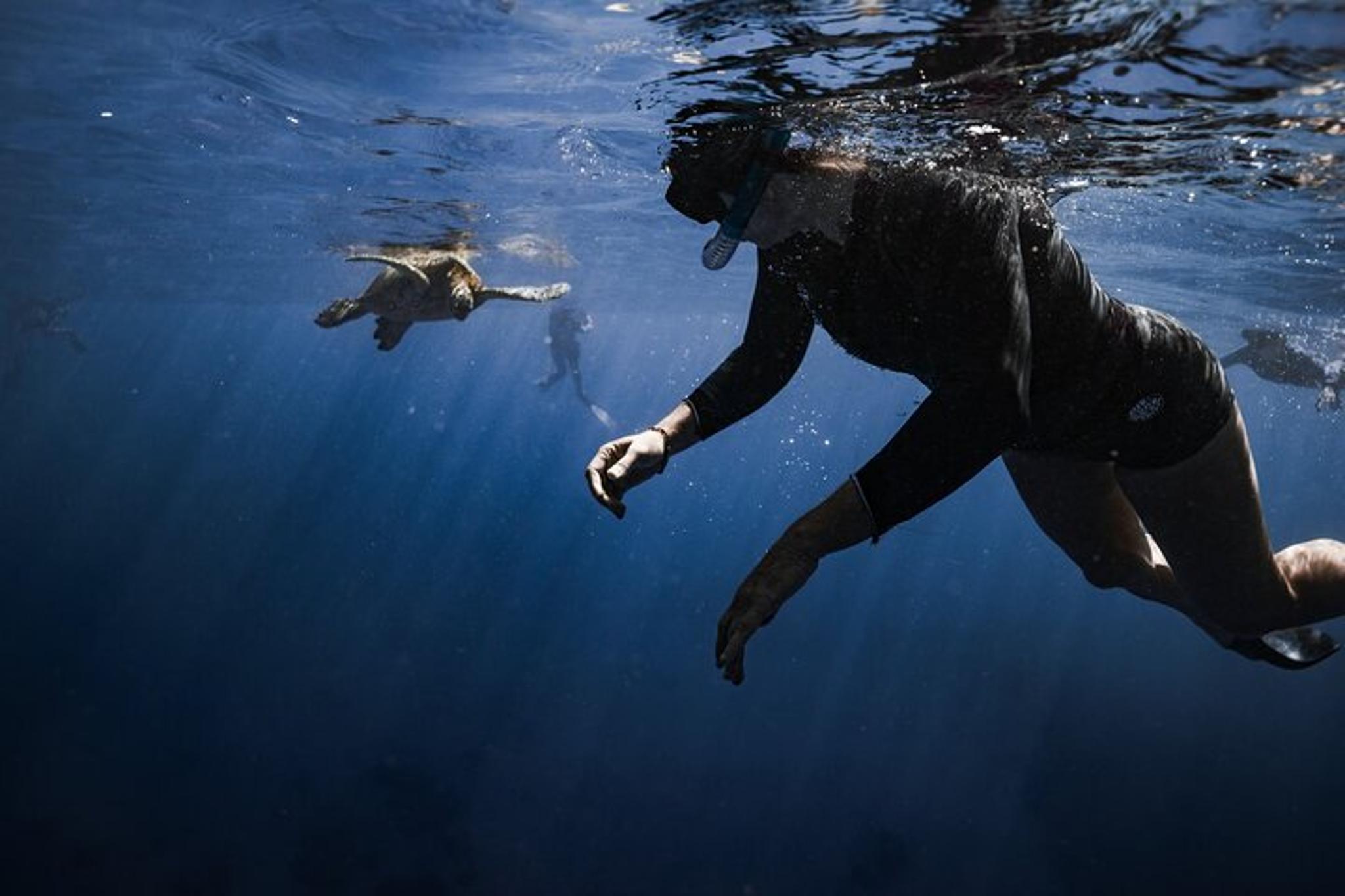 Honolulu Snorkel Tour at Turtle Canyon 90 min - Image 3