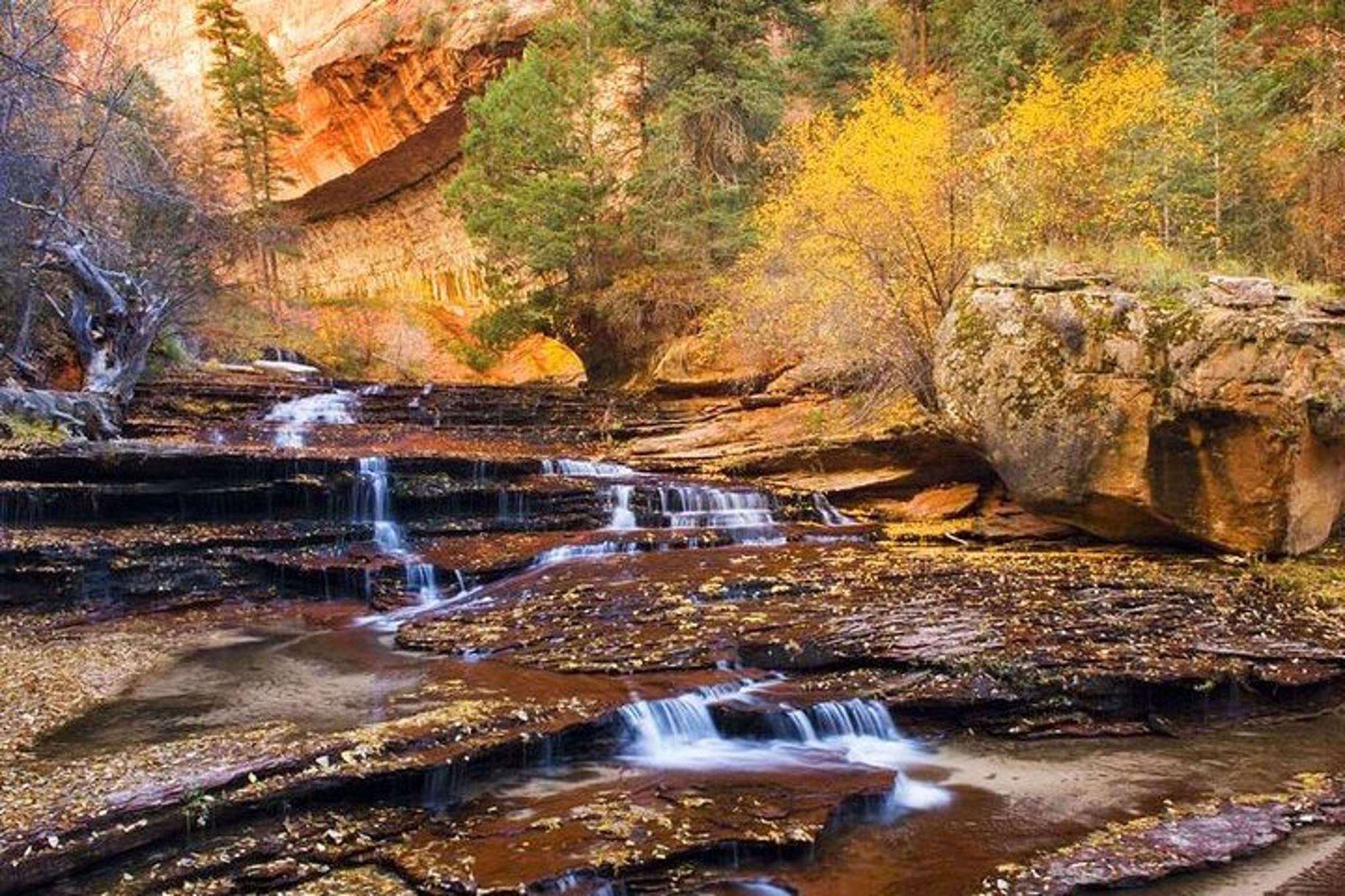 Zion & Bryce Canyon National Parks Bus Tour - Image 2