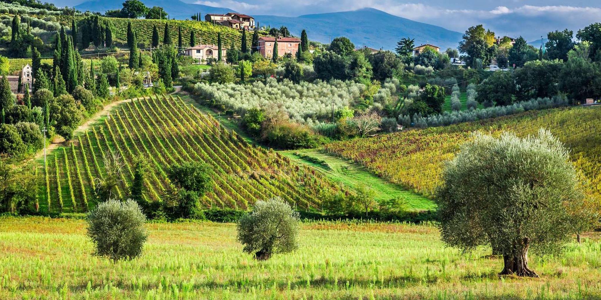 Santa Barbara Horseback Riding and Wine Tasting Tour - Image 2
