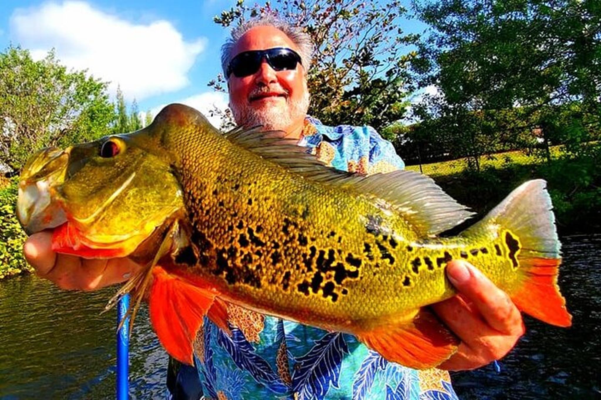 Miami Peacock Bass Fishing Trip - Image 6
