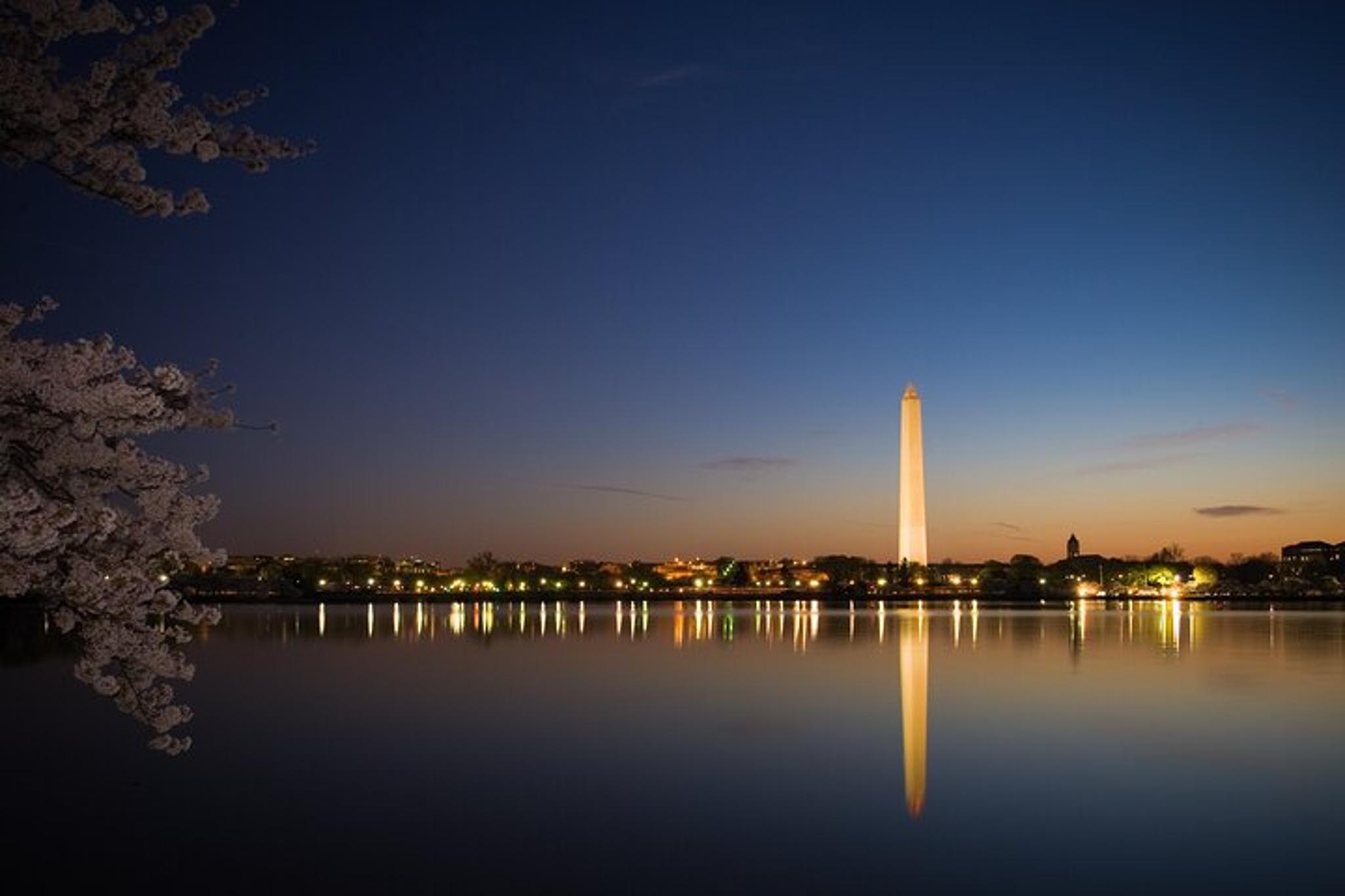 Washington DC City Tour - Image 3