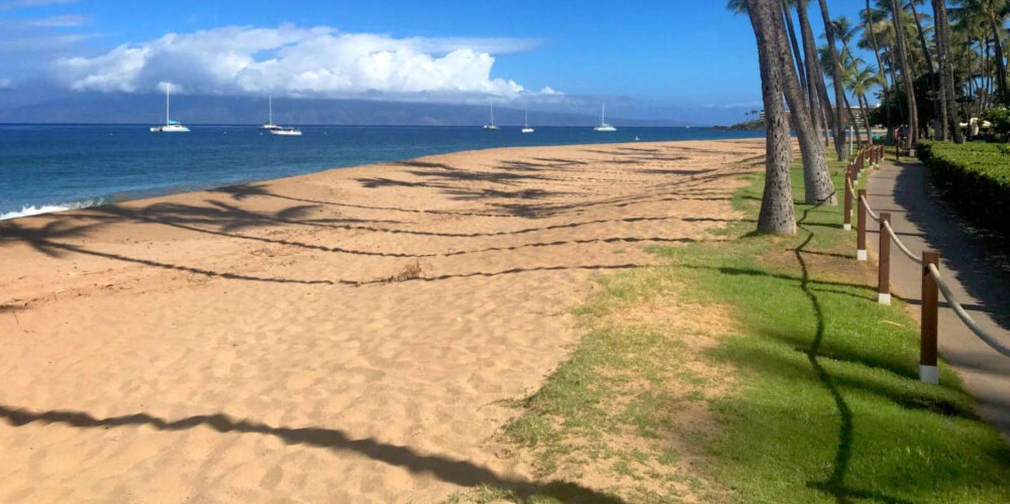 Maui Custom Tour with Escalade & Meals - Image 6