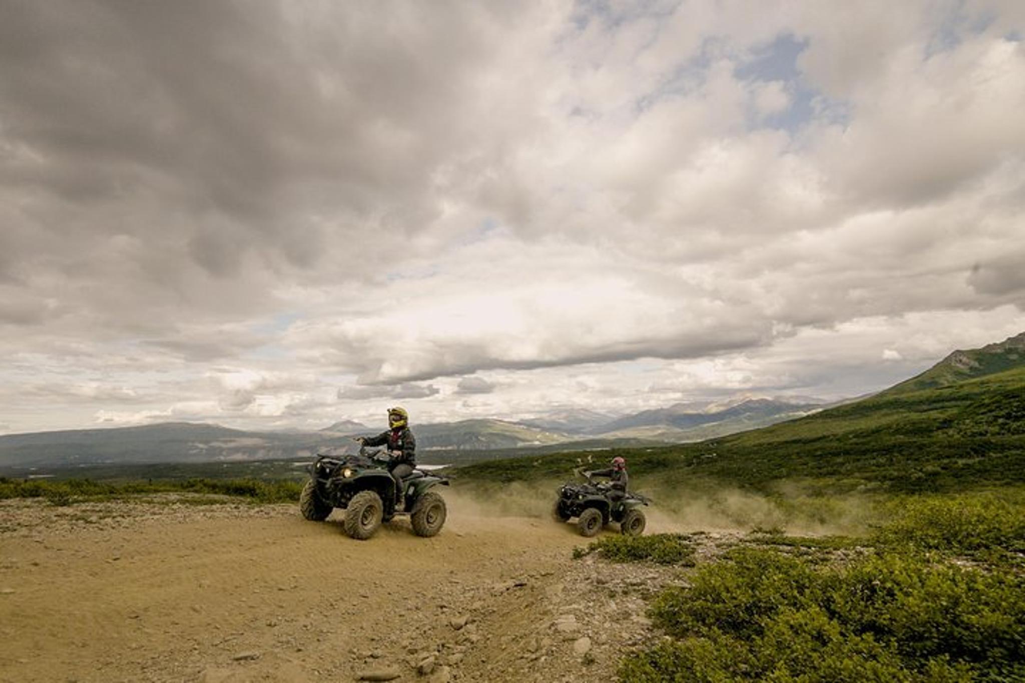 Denali ATV Trailblazer Tour 3.5 Hours - Image 4