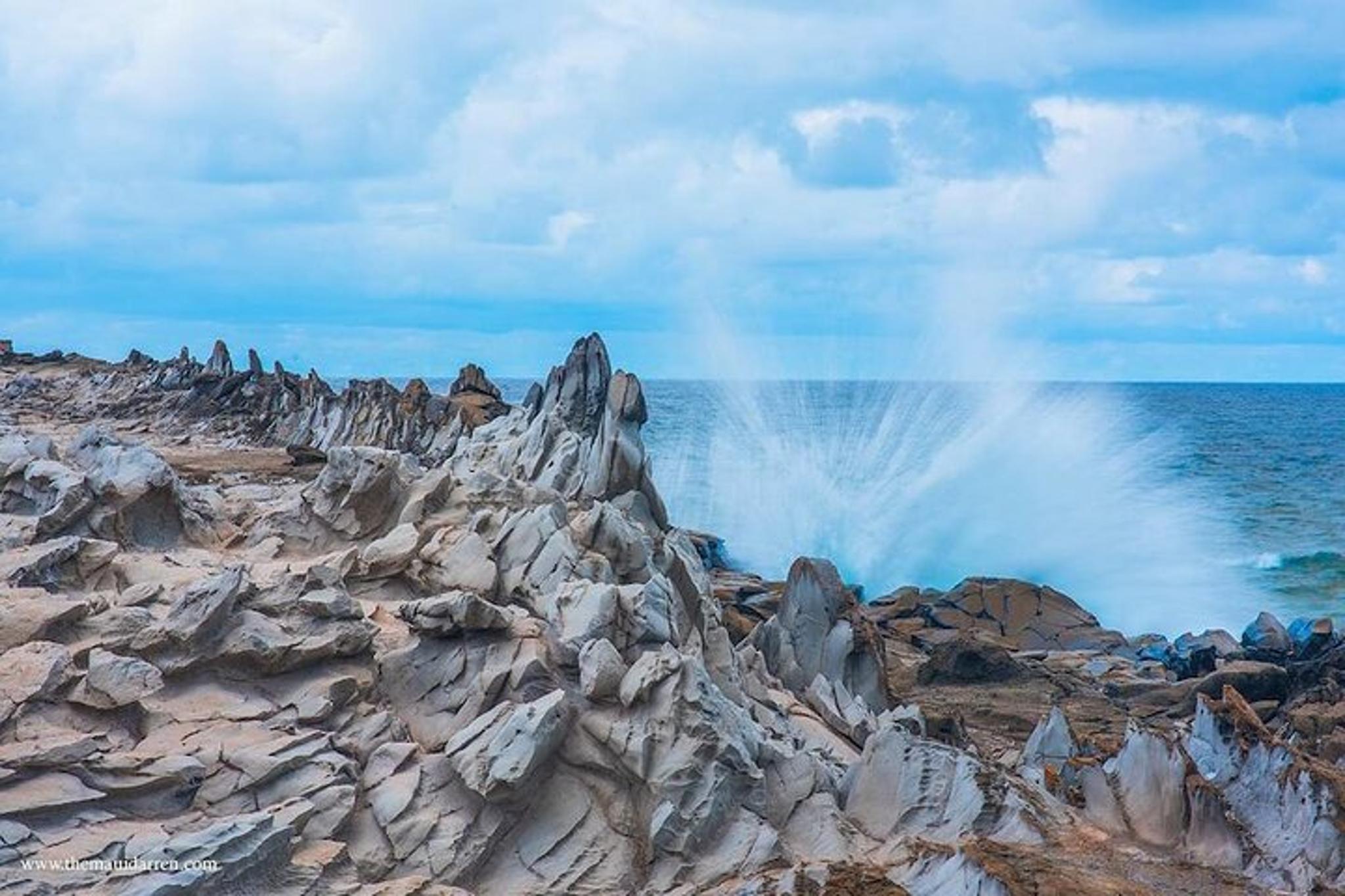 Maui Private Tour - Image 4