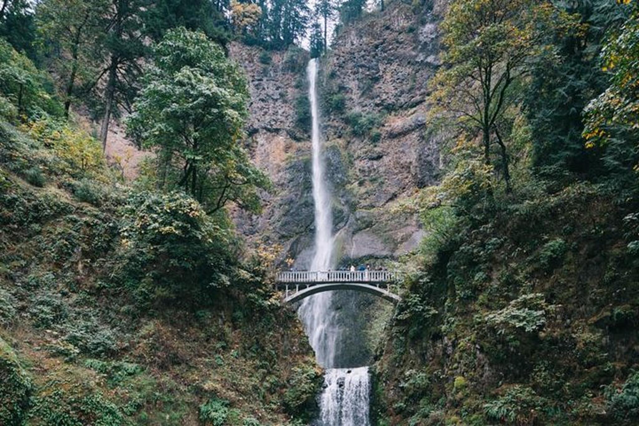 Portland Multnomah Falls and Columbia River Gorge Tour - Image 2
