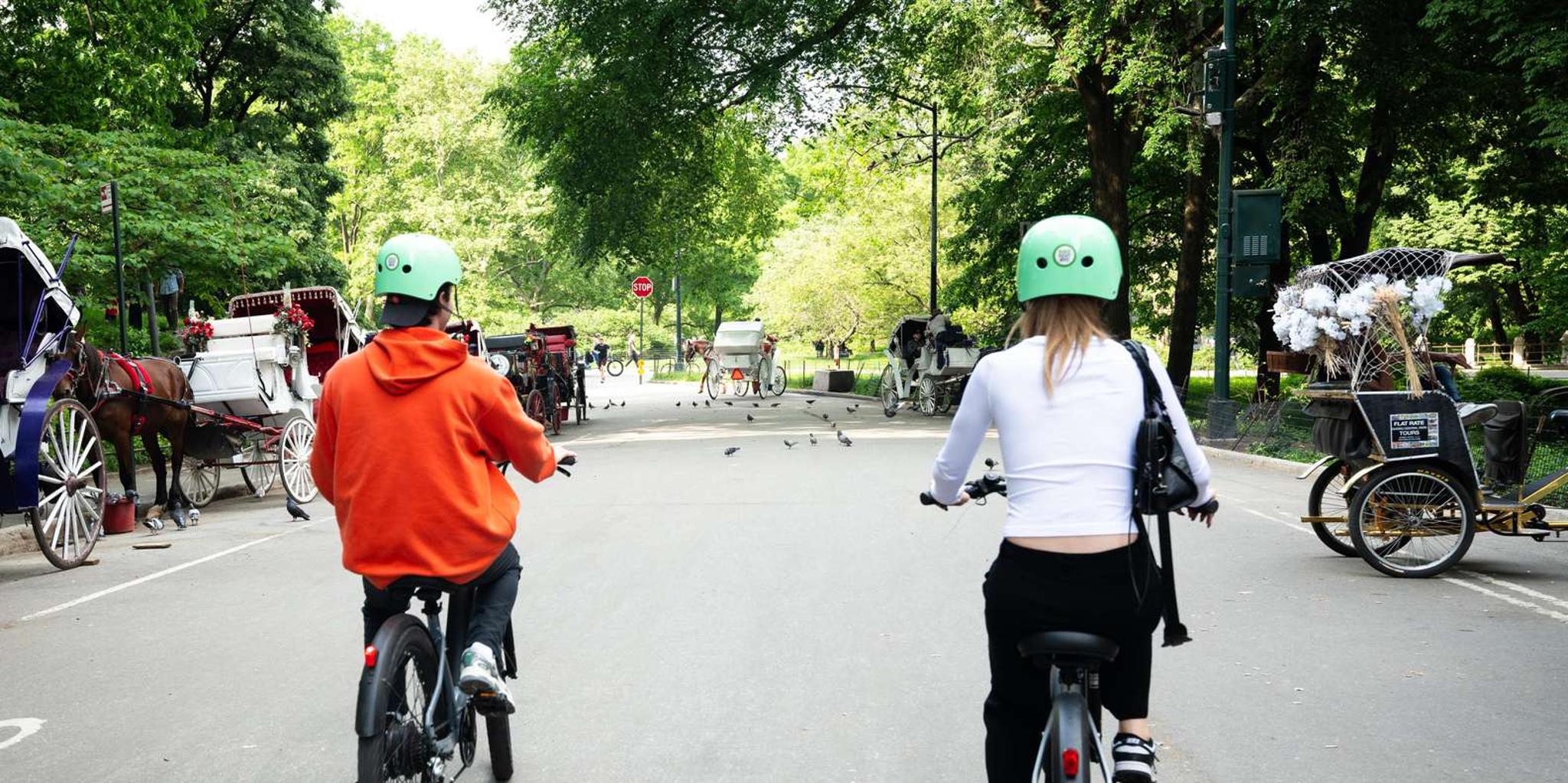 New York City Central Park Electric Bike Tour - Image 4
