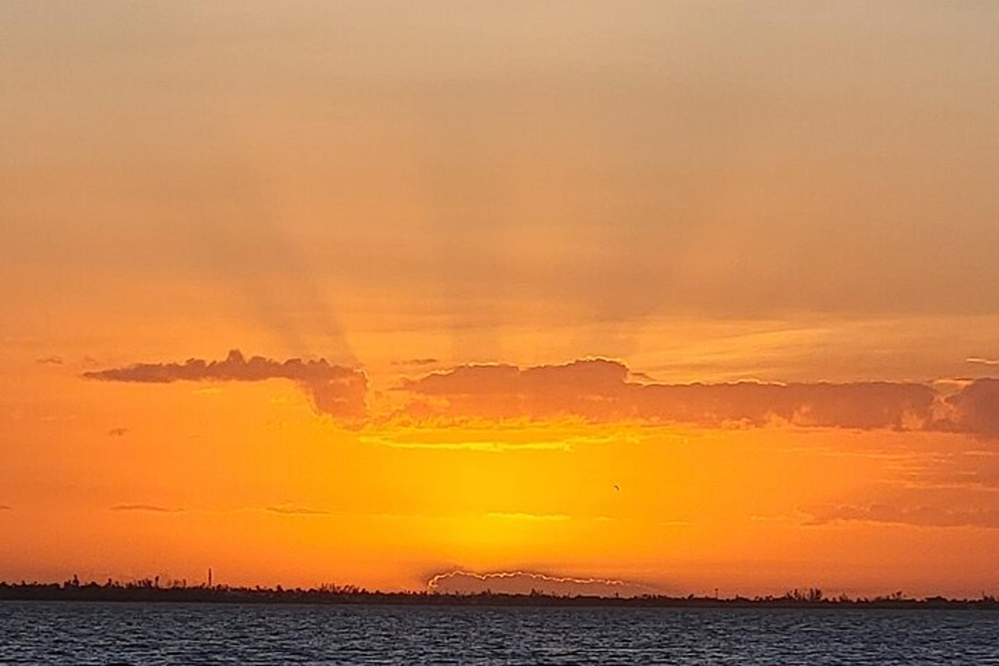 Fort Myers Beach Sunset Dolphin Cruise 90 Min