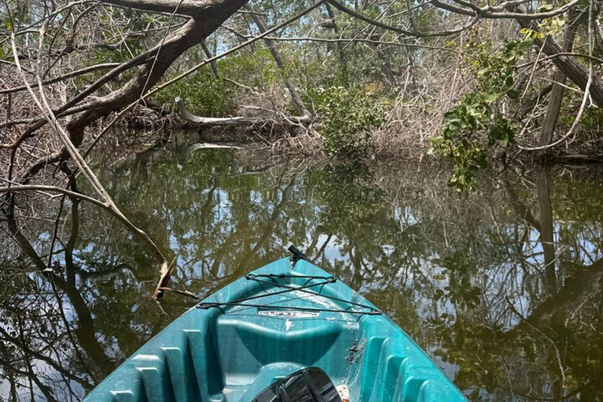 Ruskin Kayak Tour at EG Simmons Park 3 hr - Image 4