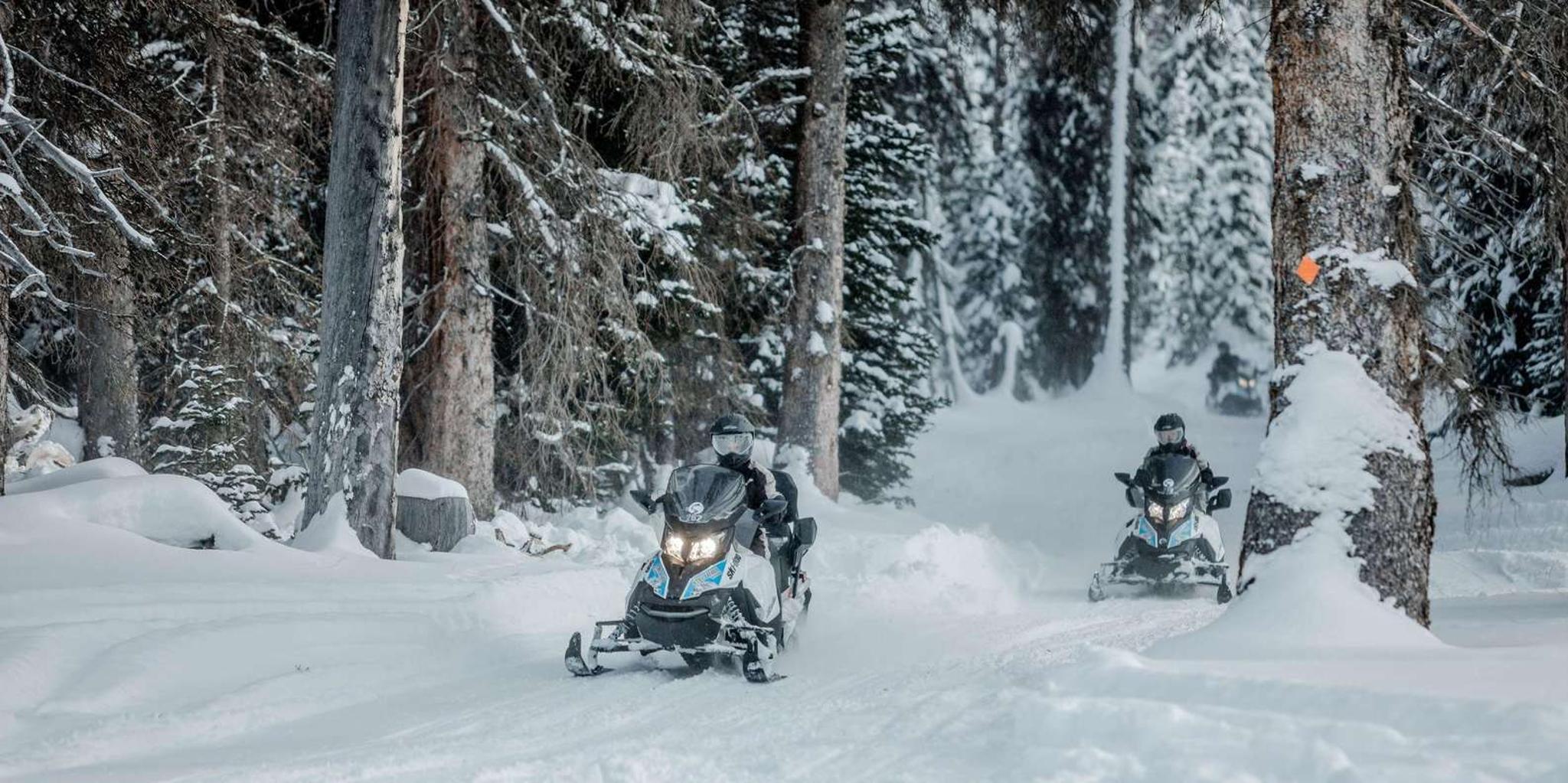 Jackson Yellowstone Snowmobile Tour