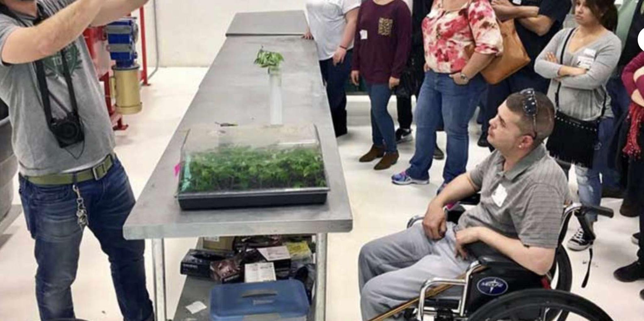 Denver Cannabis Tour with Grow Facility Access - Image 5