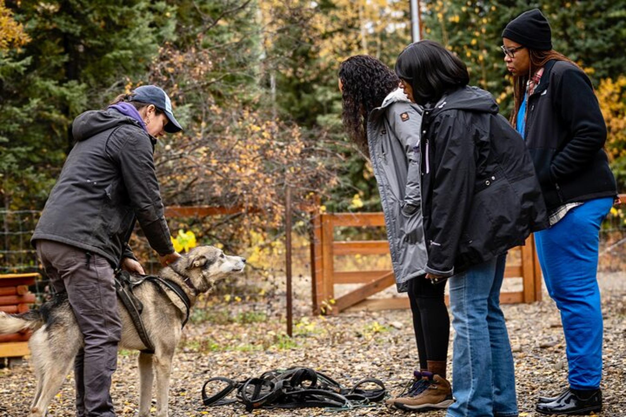 Two Rivers Sled Dog Experience 1 Hour - Image 5