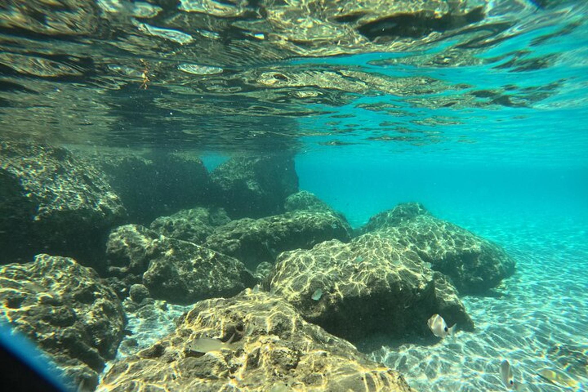 Riviera Beach Peanut Island Adventure - Image 6