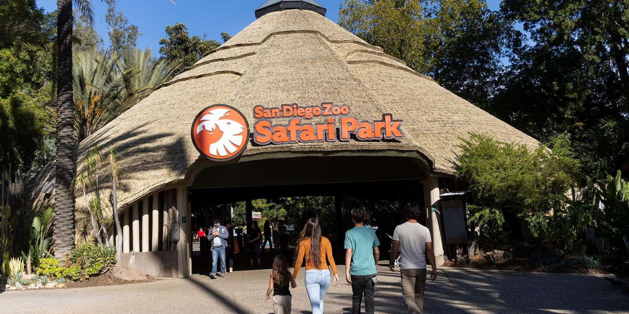 San Diego Zoo and Safari Park 2-Day Pass - Image 3