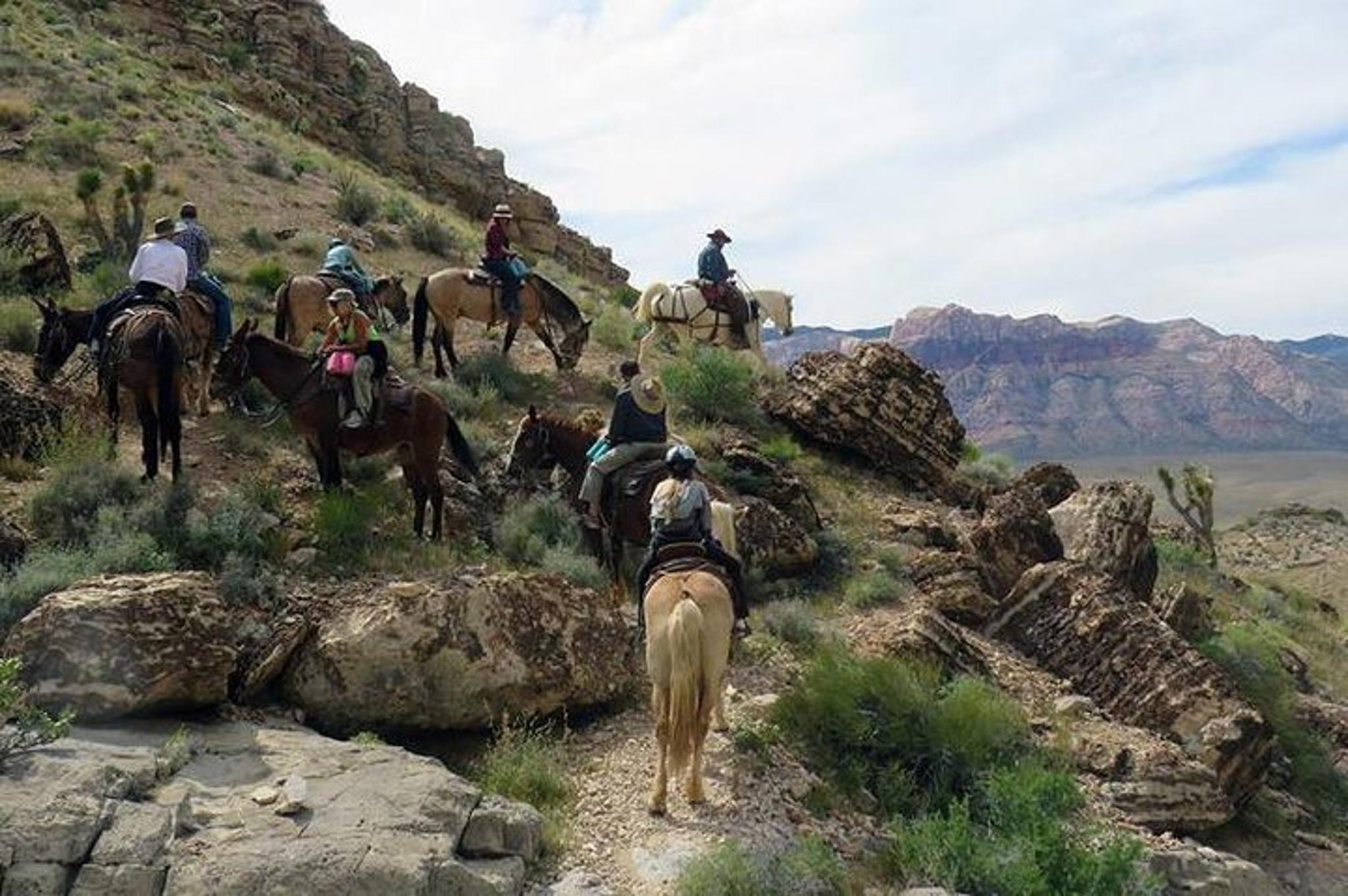Las Vegas Horseback Ride and BBQ Dinner at Sunset - Image 5