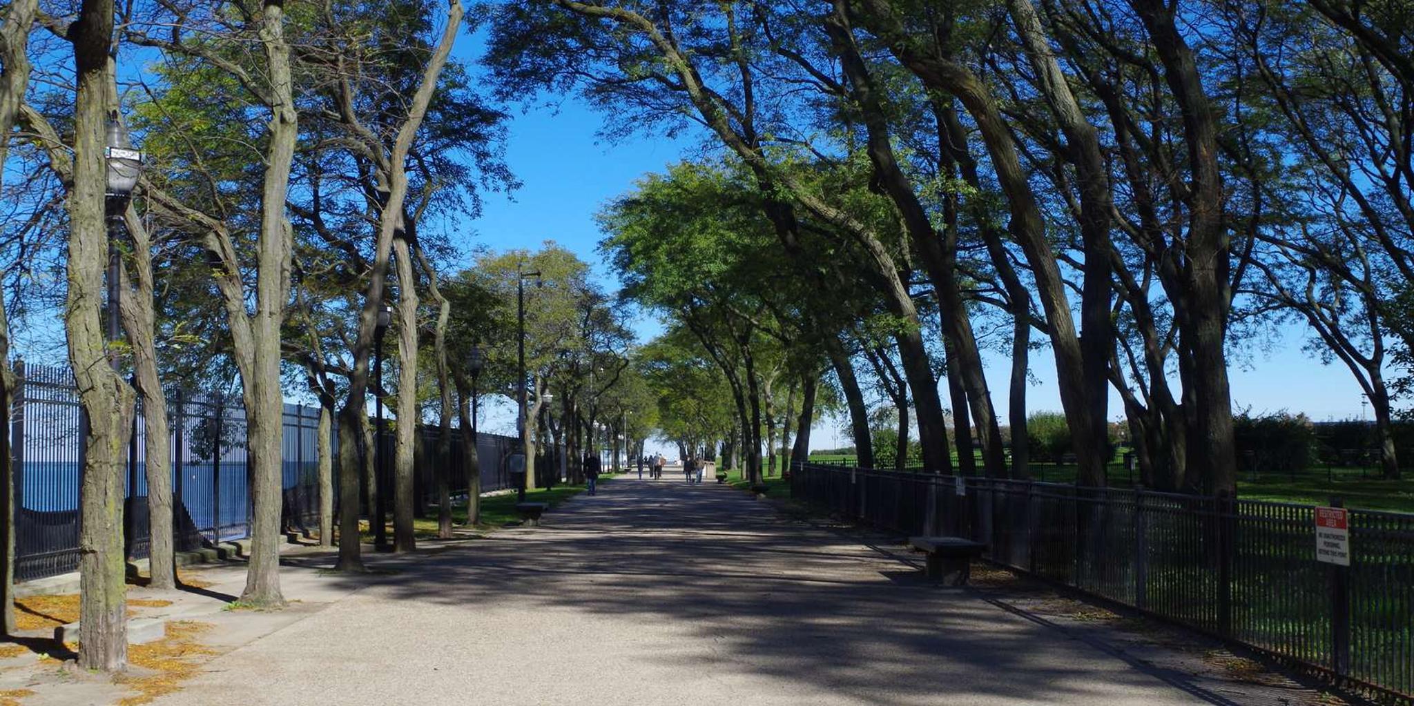 Chicago Lakefront Bike Tour - Image 5