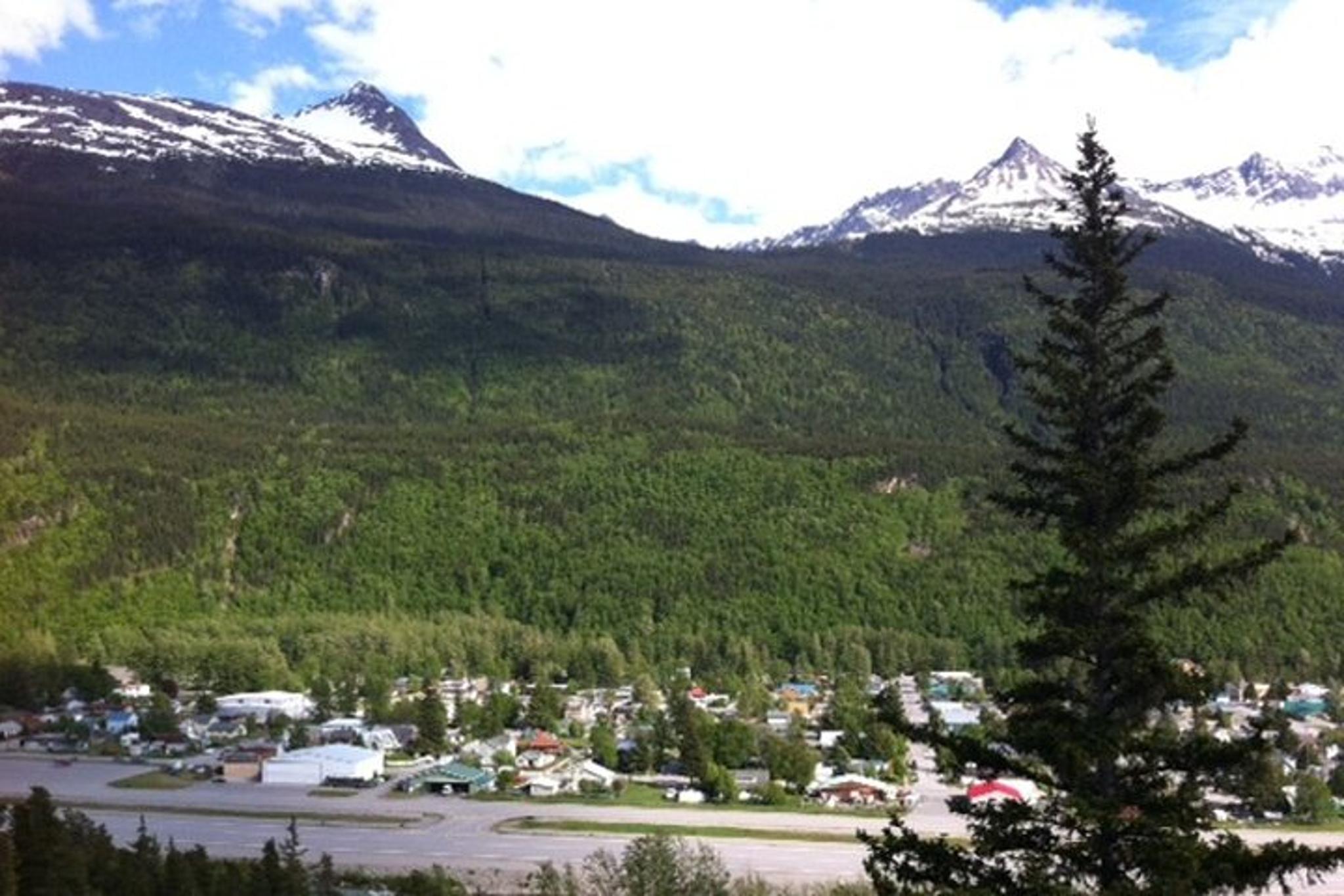 Skagway Historic Gold Rush Scenic Drive 2 hr - Image 2