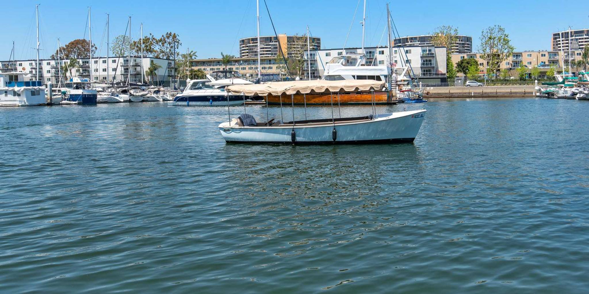 Marina del Rey Picnic Cruise with Sea Lions 1.5 hr - Image 2