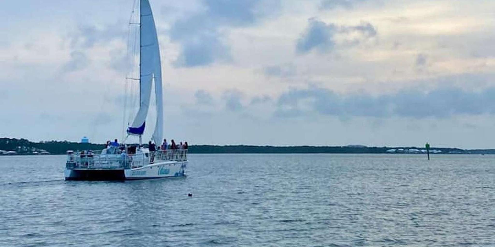 Orange Beach Dolphin & Sailing Cruise on a Catamaran
