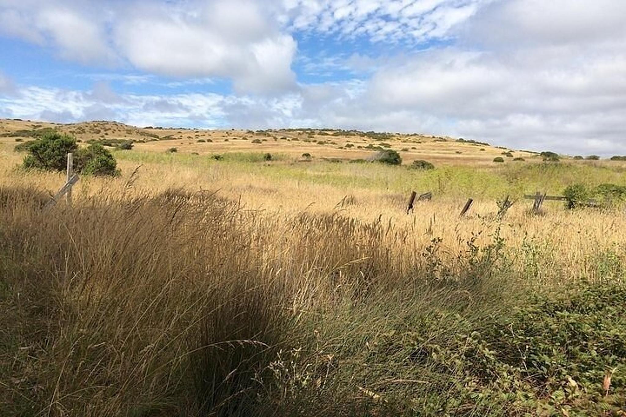 Point Reyes Self-Guided Audio Tour - Image 2