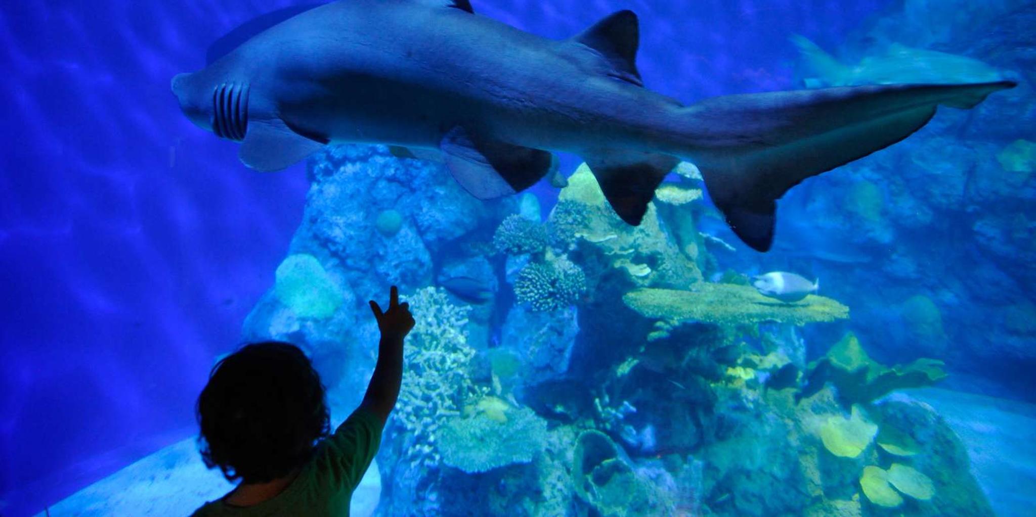 Denver Aquarium All-Day Pass - Image 3