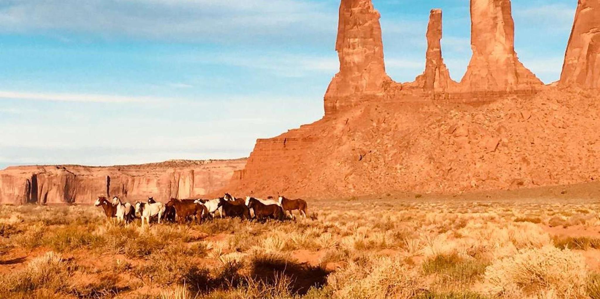 Monument Valley Cultural and Sunrise Tour 3 hr - Image 5