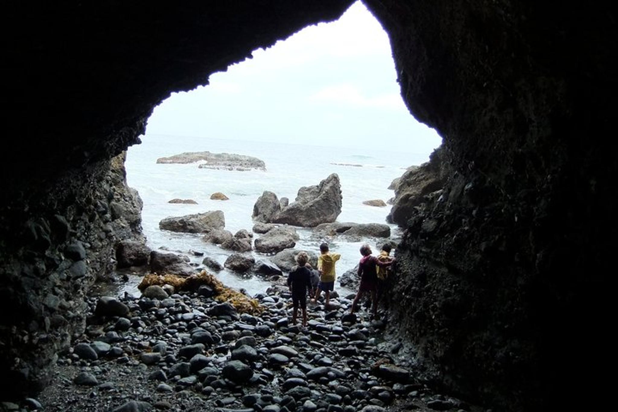 Dana Point Sea Cave Tide Pool Walk