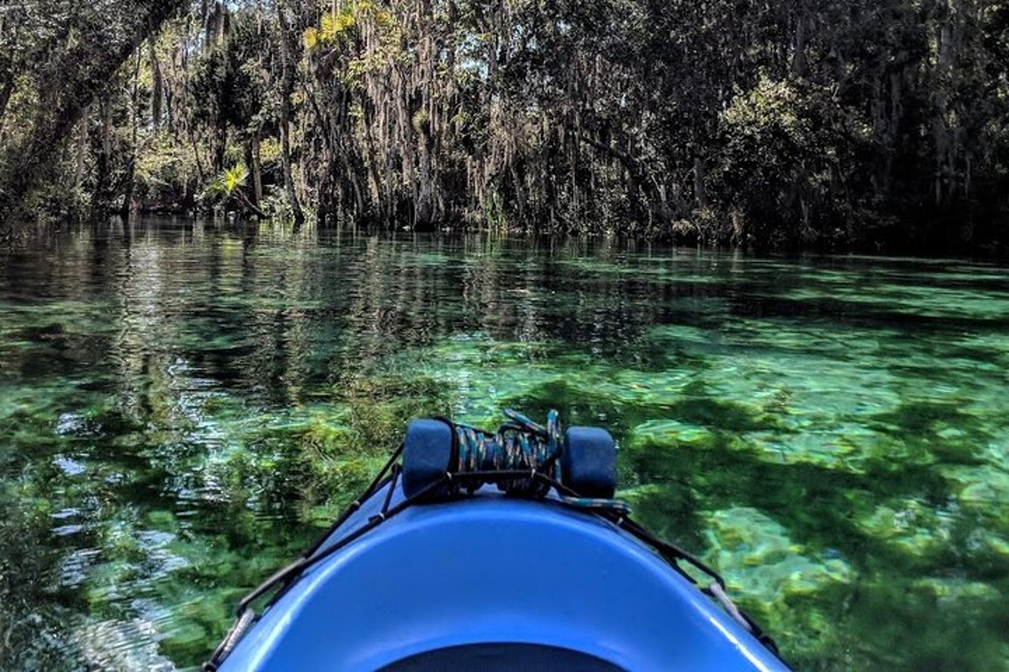 Crystal River Tandem Kayak Rental with Manatees 2 hr