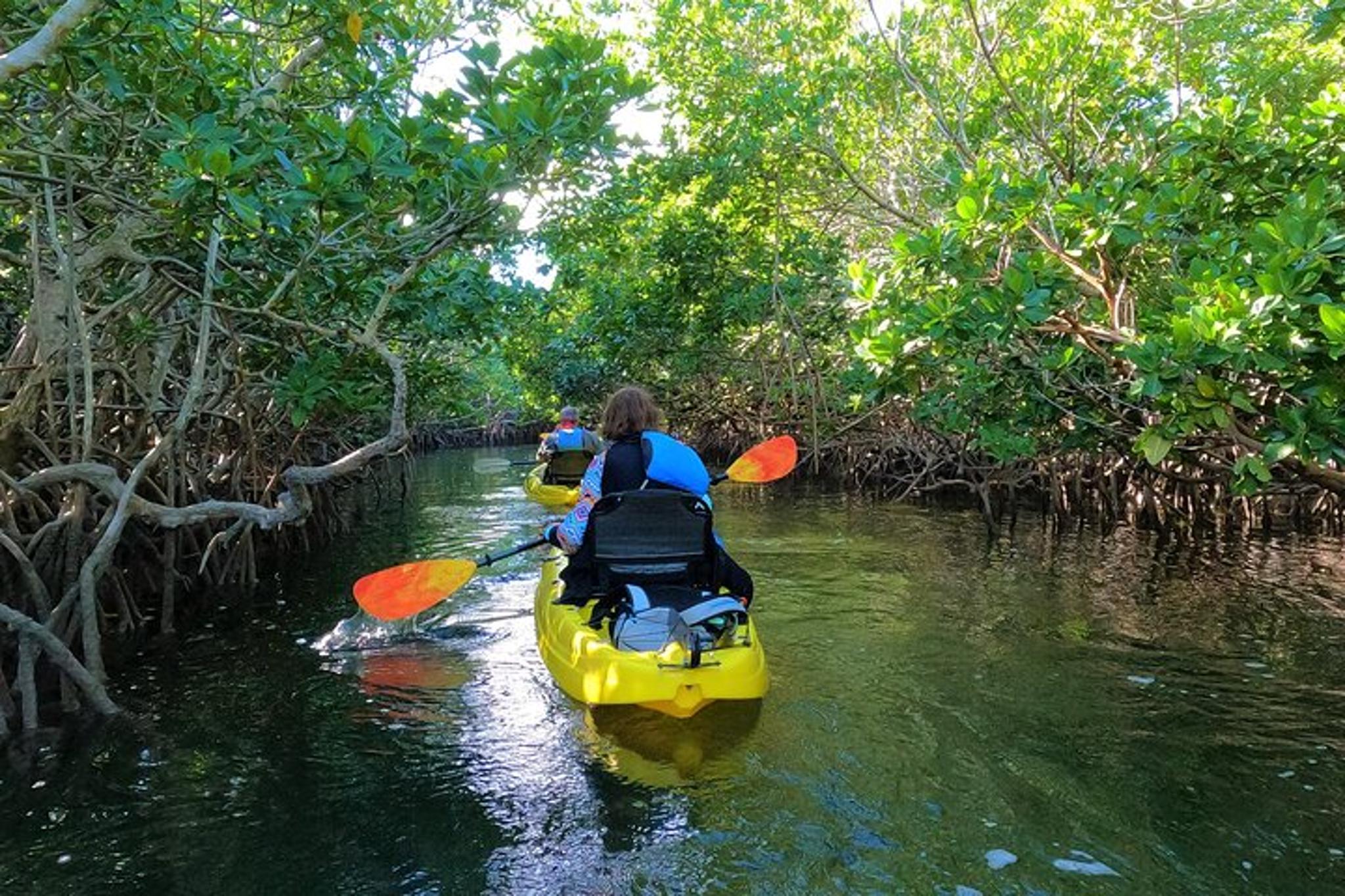 Key Largo Mangrove Tunnel Kayak Adventure - Image 4