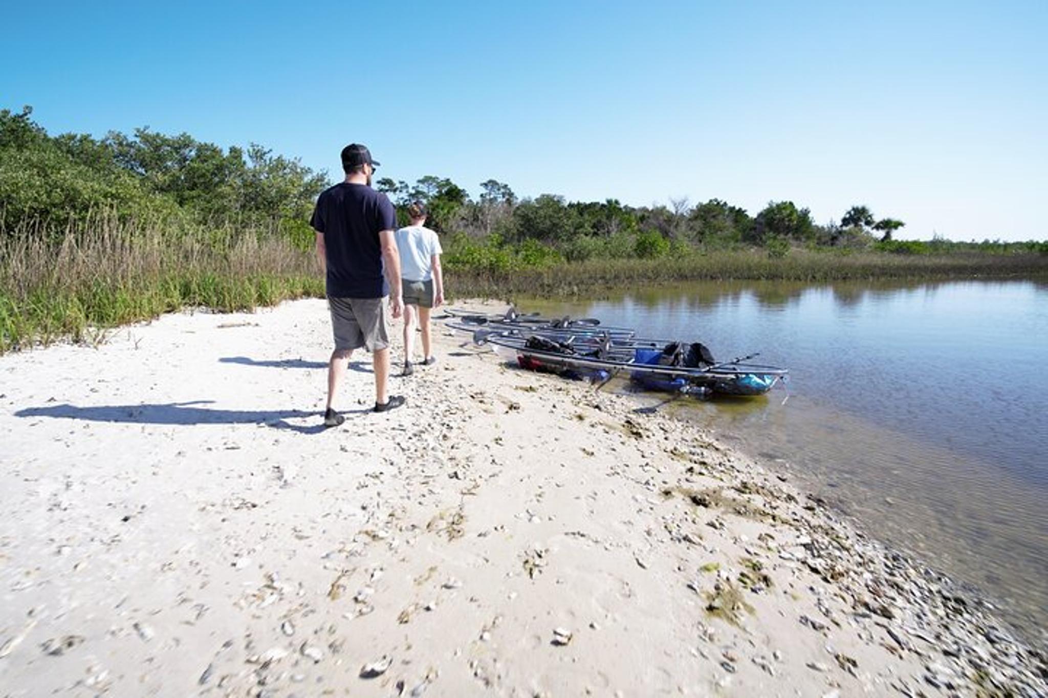 Flagler County Glass Bottom Eco Tour - Image 4