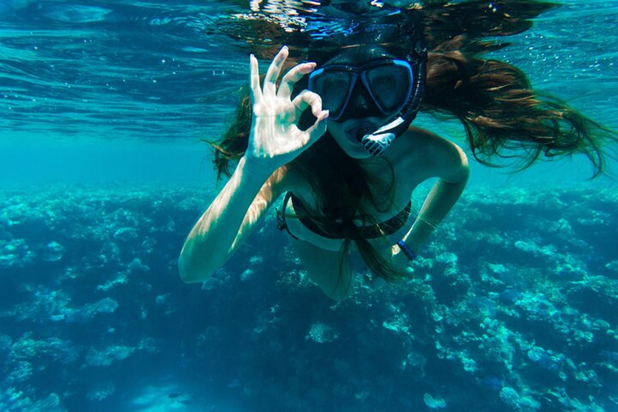 Key Largo Snorkeling Tour - Image 3