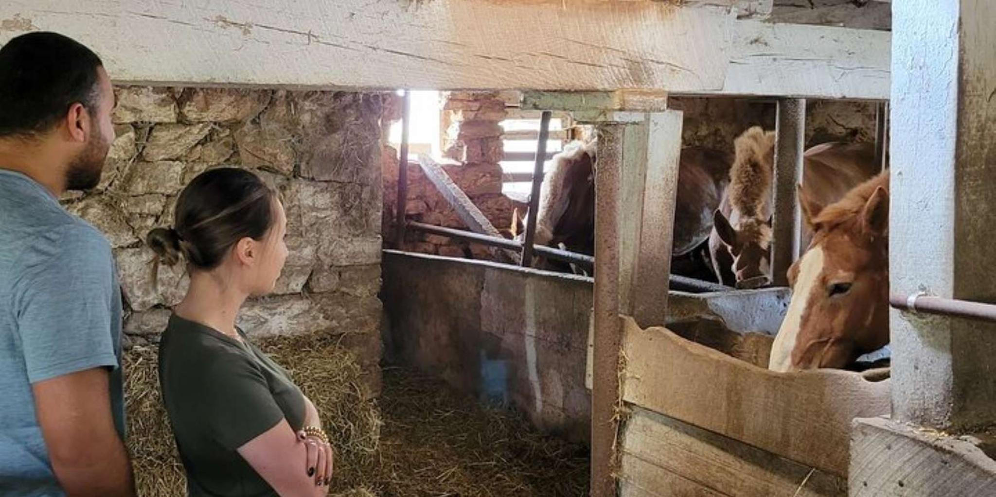 Lancaster Amish Immersion Experience 3 hr - Image 4