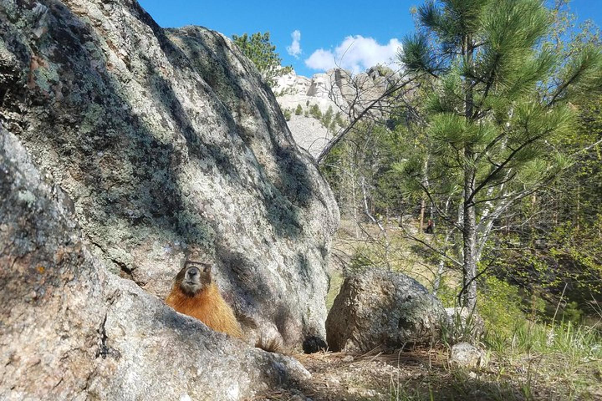 Rapid City Private Black Hills Tour - Image 3