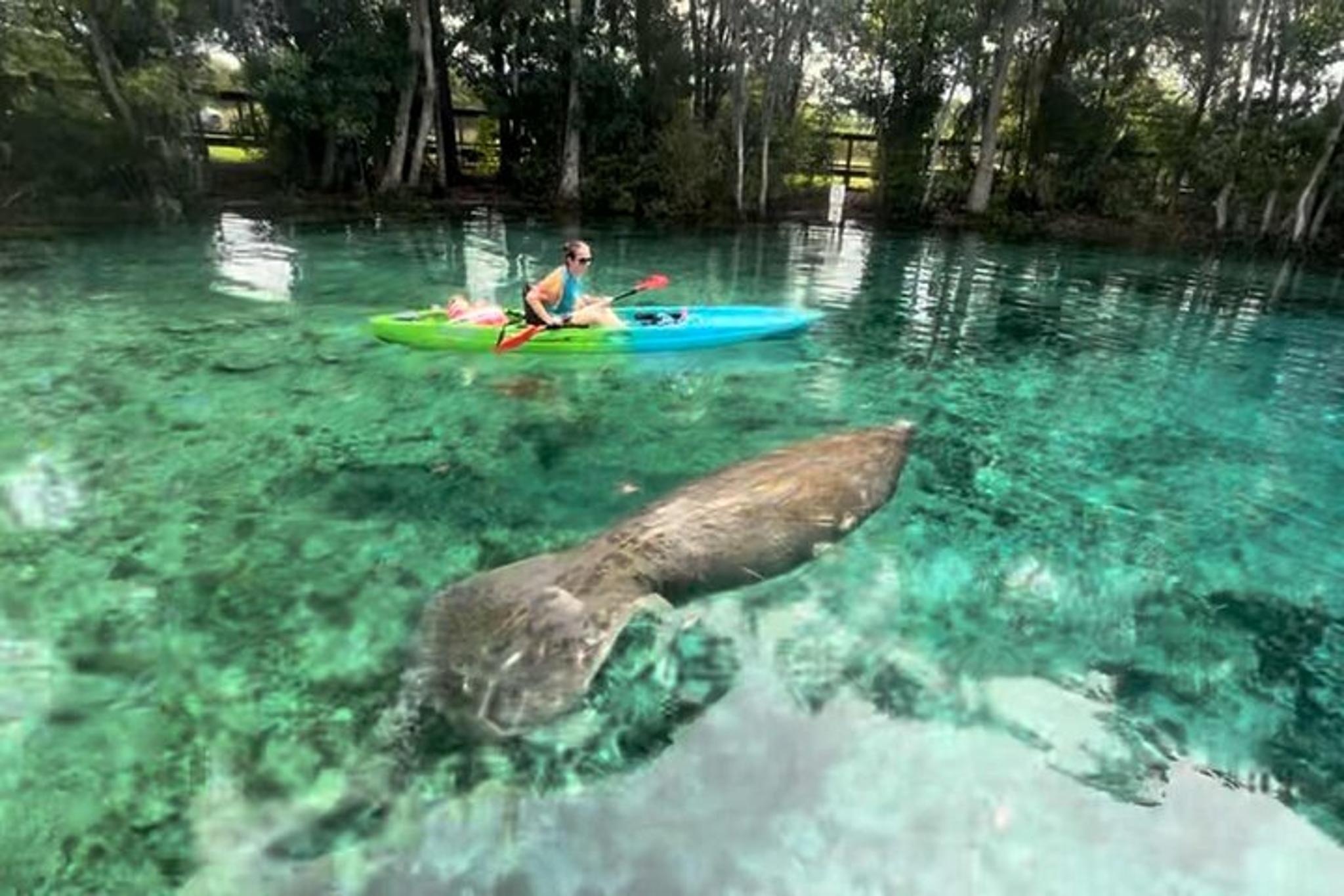 Crystal River Kayak Rental Three Sisters Springs 4 Hr - Image 2