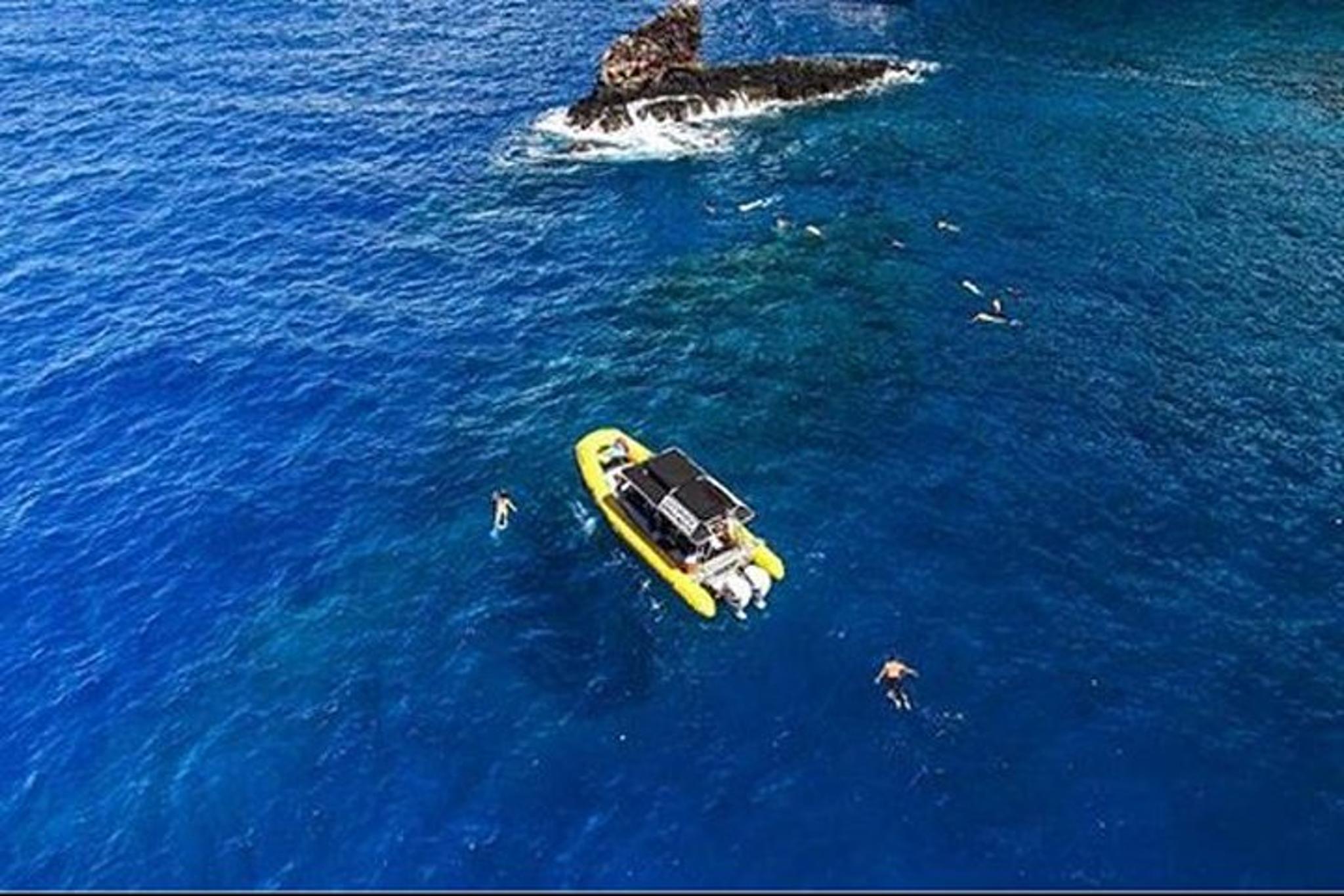 Lanai Snorkel and Dolphin Encounter 4 hr - Image 2