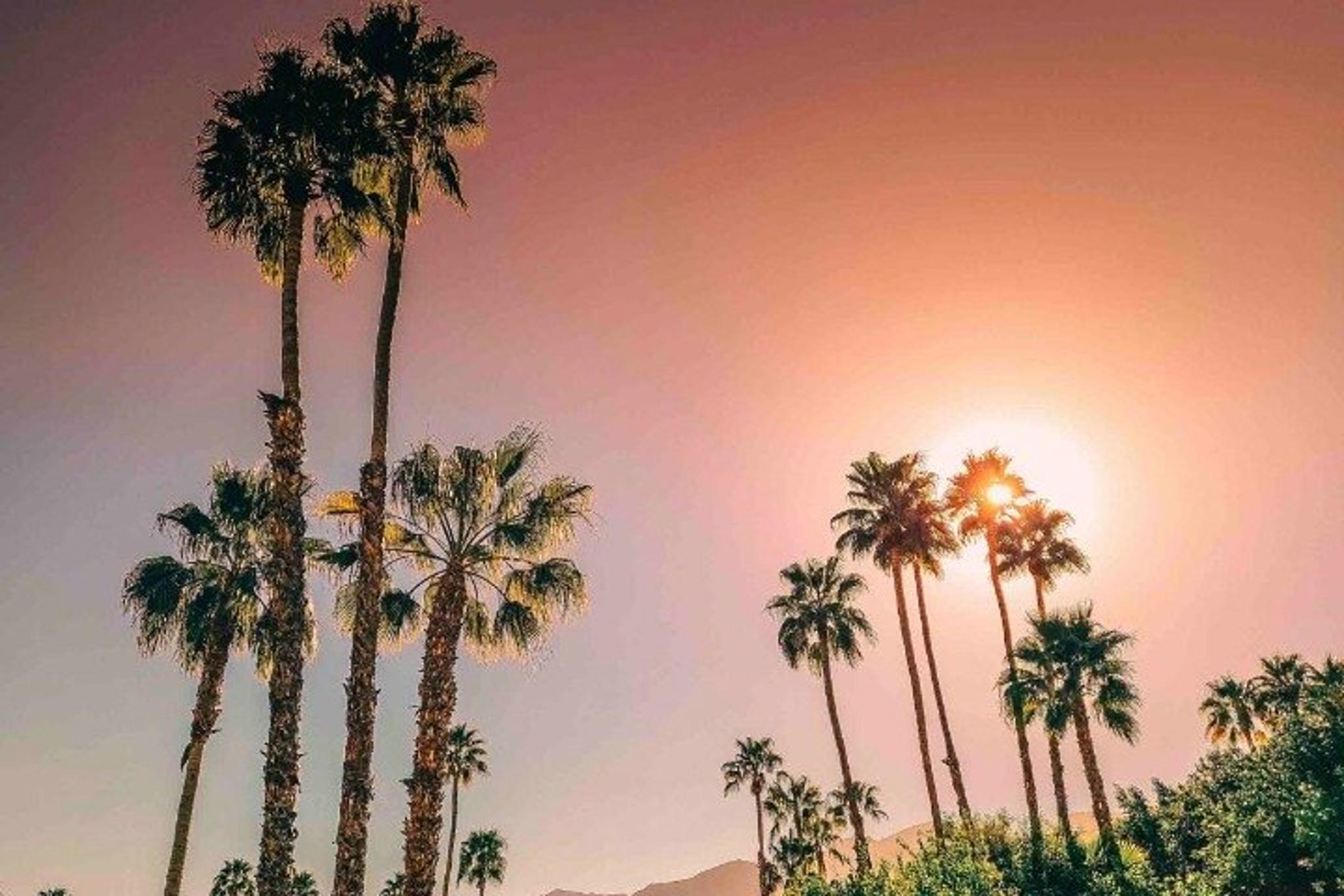 Los Angeles Palm Springs Private Tour - Image 2