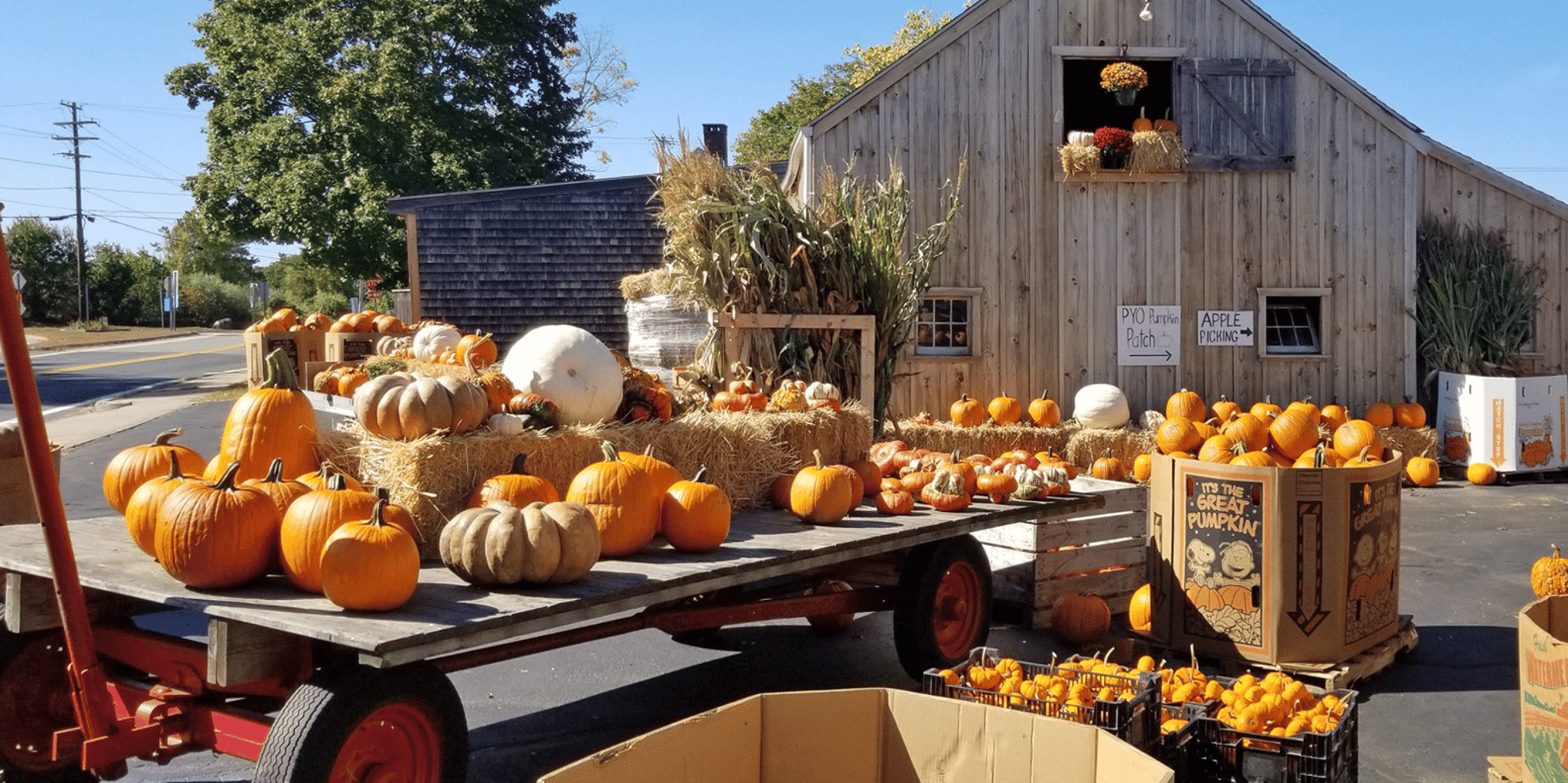 Providence Autumn Countryside Tour 8 hr