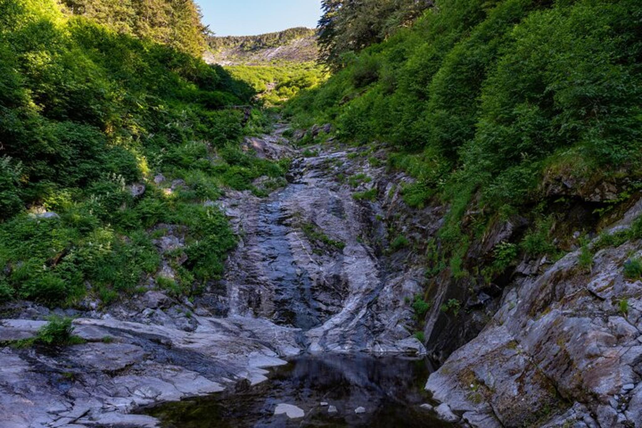 Ketchikan Mountain Lake Trek - Image 5