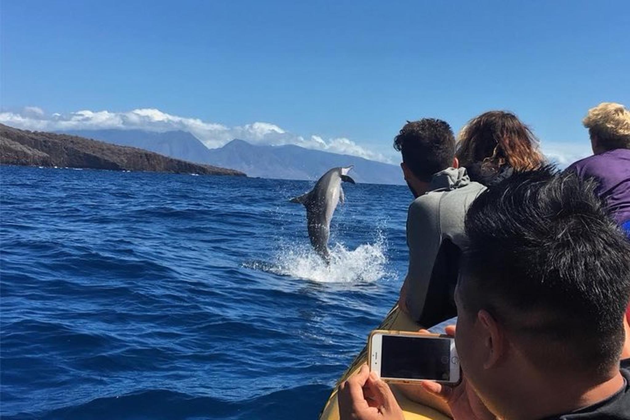 Lanai Snorkel and Dolphin Encounter 4 hr - Image 3