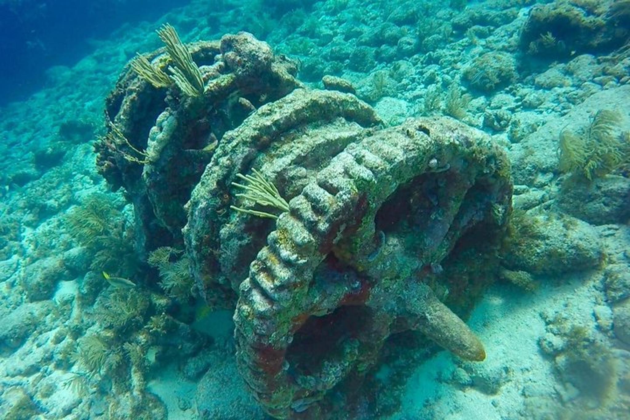 Key Largo Scuba Diving Adventure 3.5 hr - Image 3