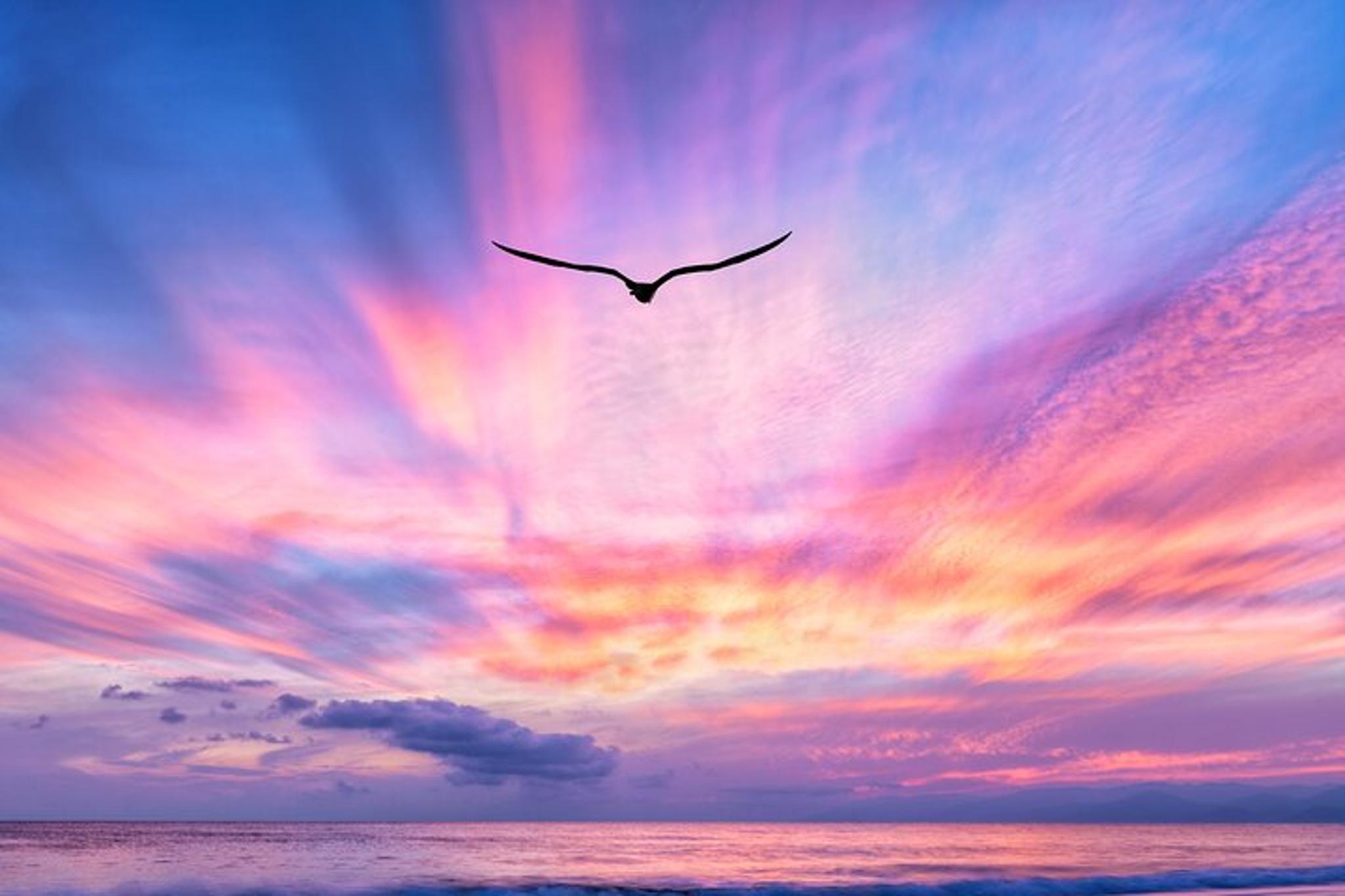Waikiki Sunset Cruise - Image 3