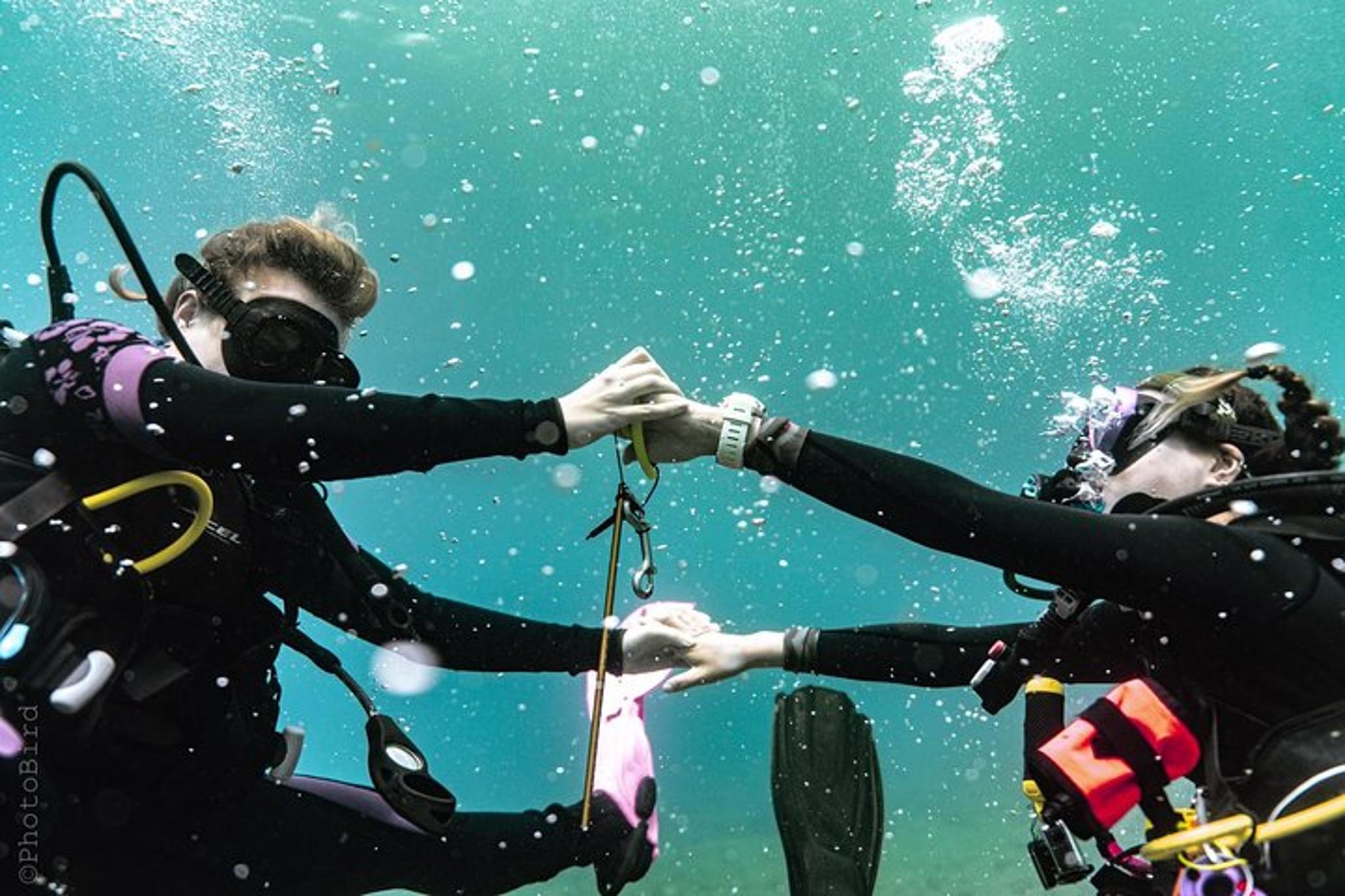 Waikiki SCUBA Diving Charter 3 hr - Image 1