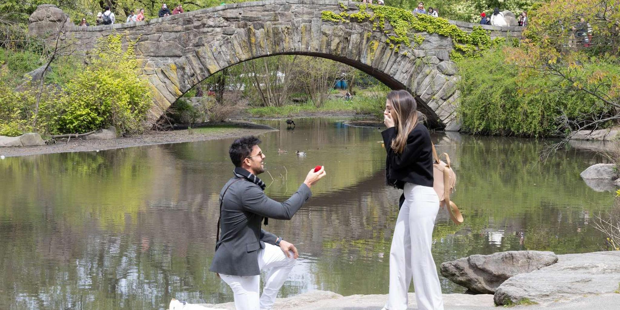 New York Photoshoot in Central Park and 5th Ave - Image 3