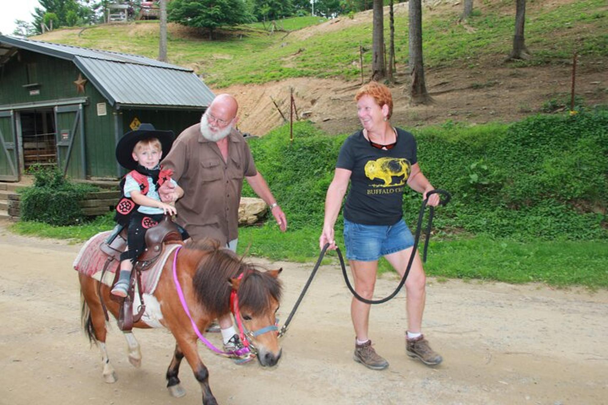Smoky Mountains Mini Horse Ride - Image 5